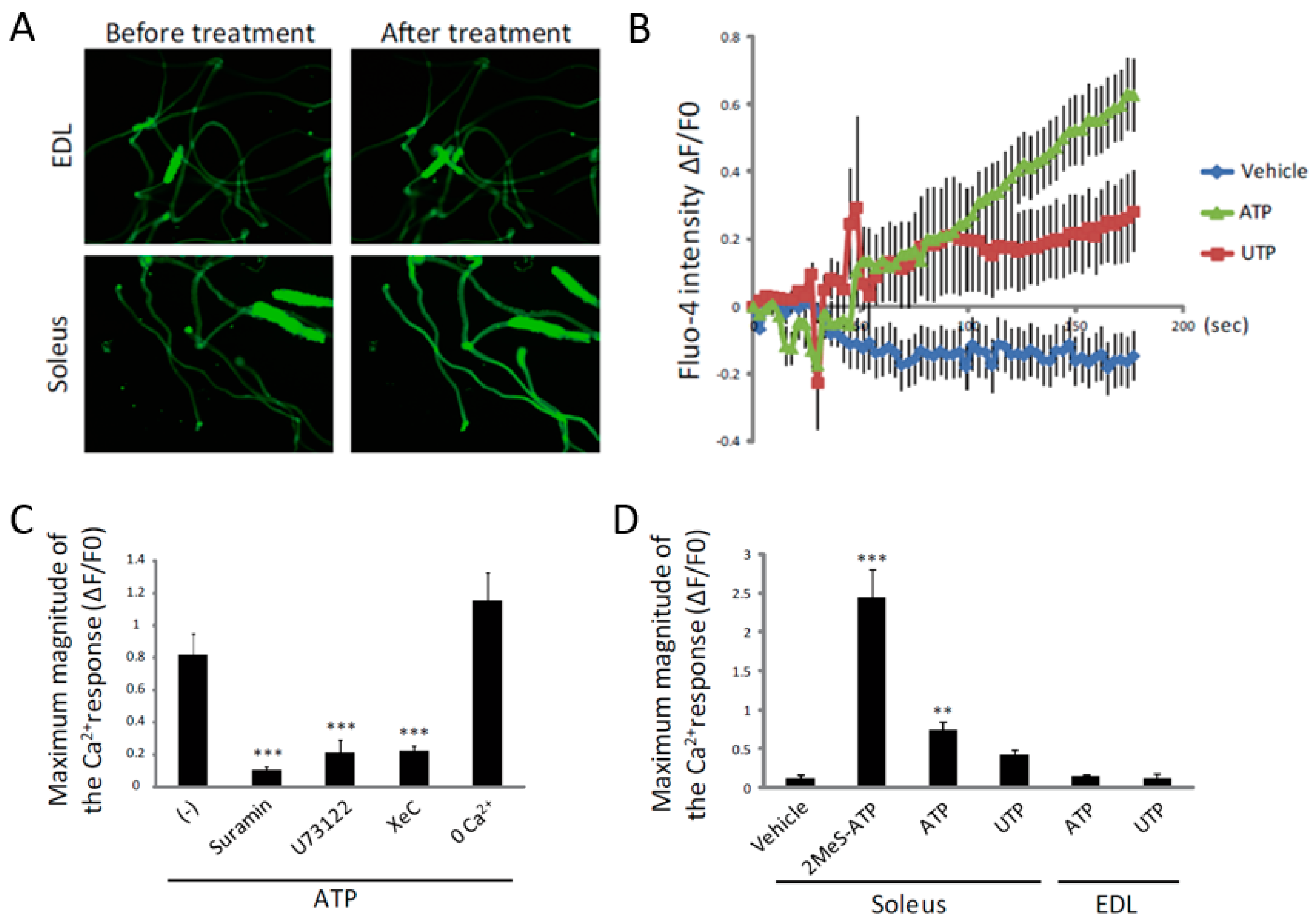 Ijms 19 02804 g005 Ijms 19 02804 g005