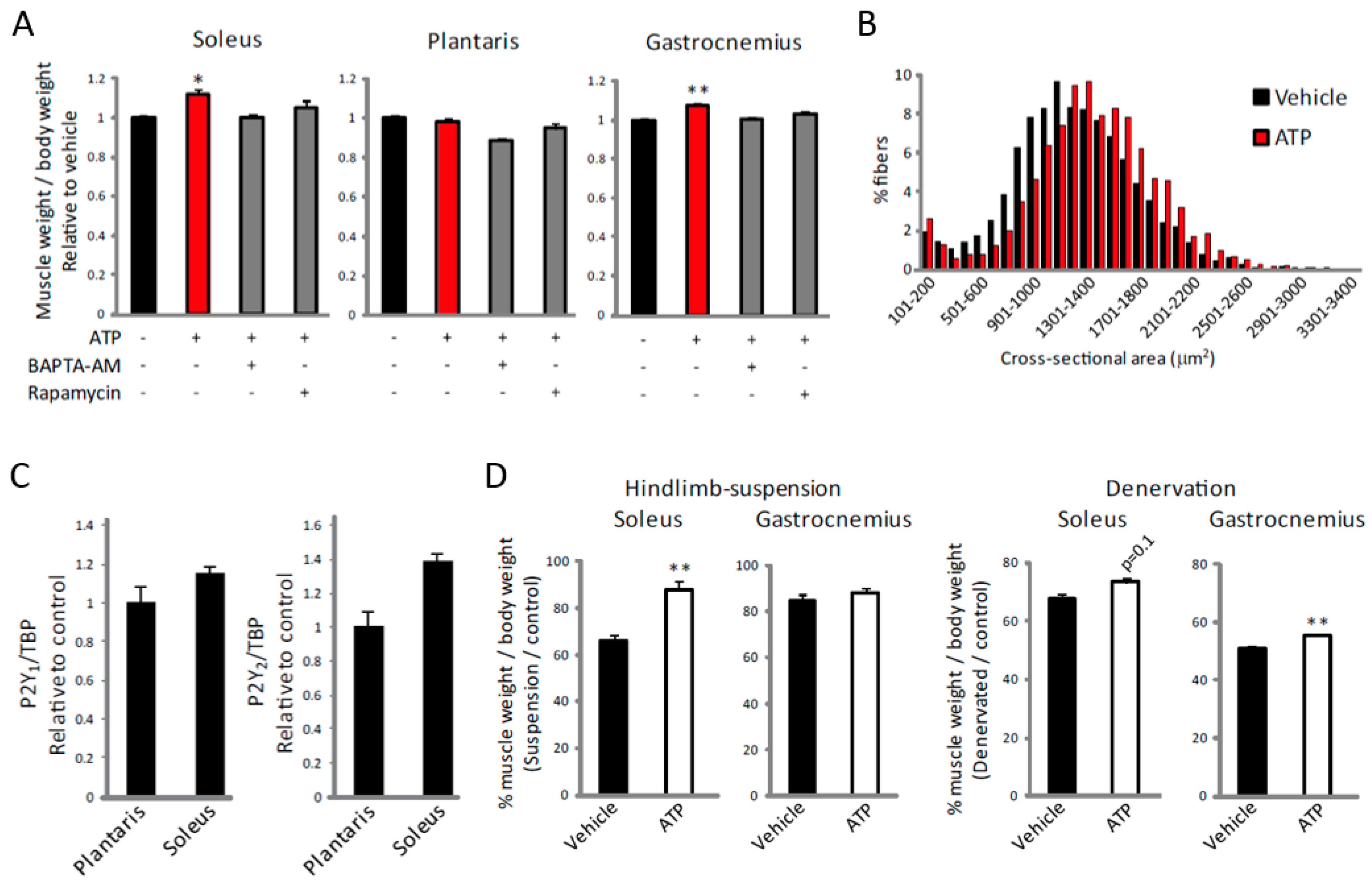Ijms 19 02804 g006 Ijms 19 02804 g006