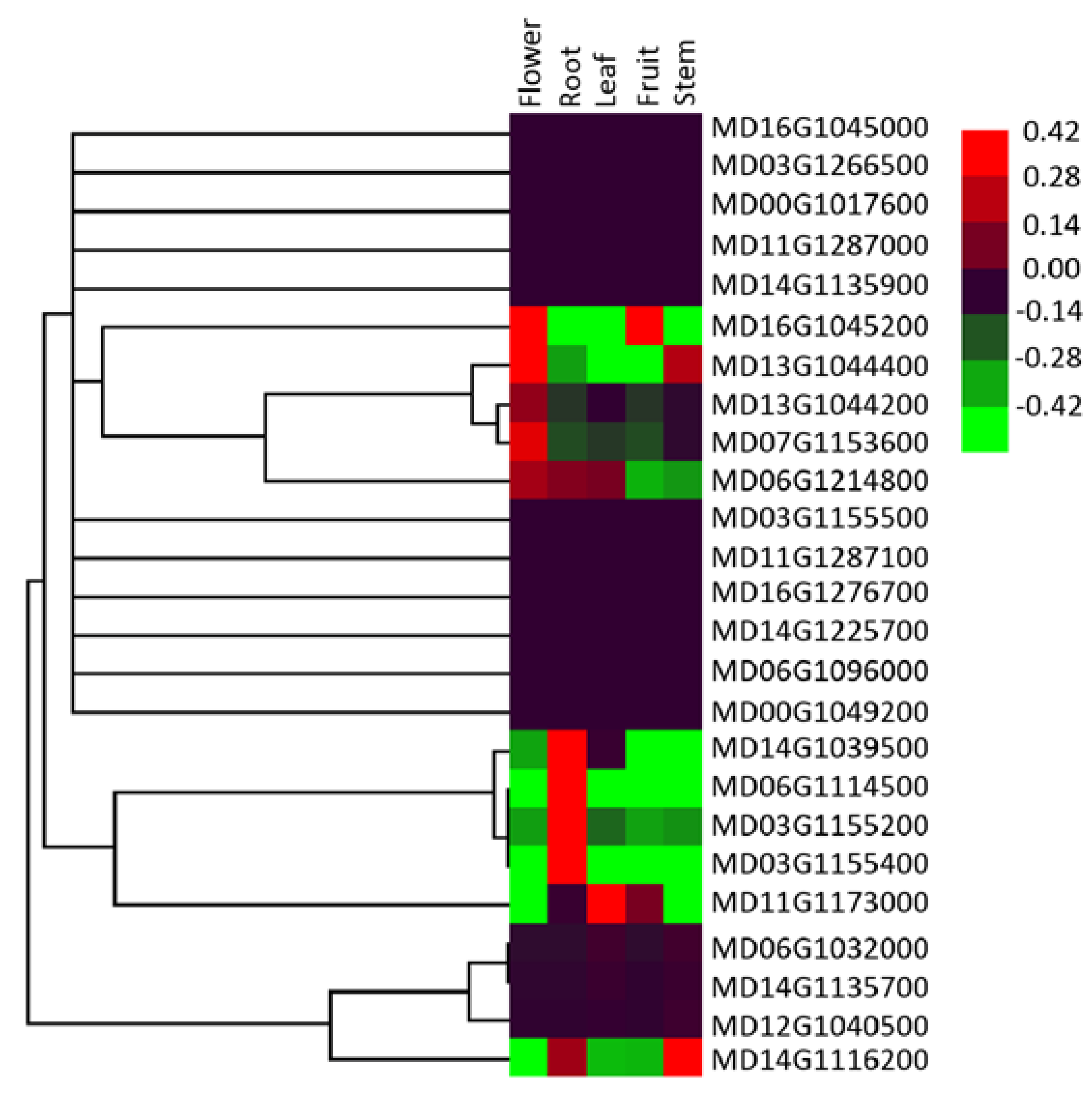 Genome-Wide Identification, Molecular Evolution, and Genome-Wide Identification, Molecular Evolution, and