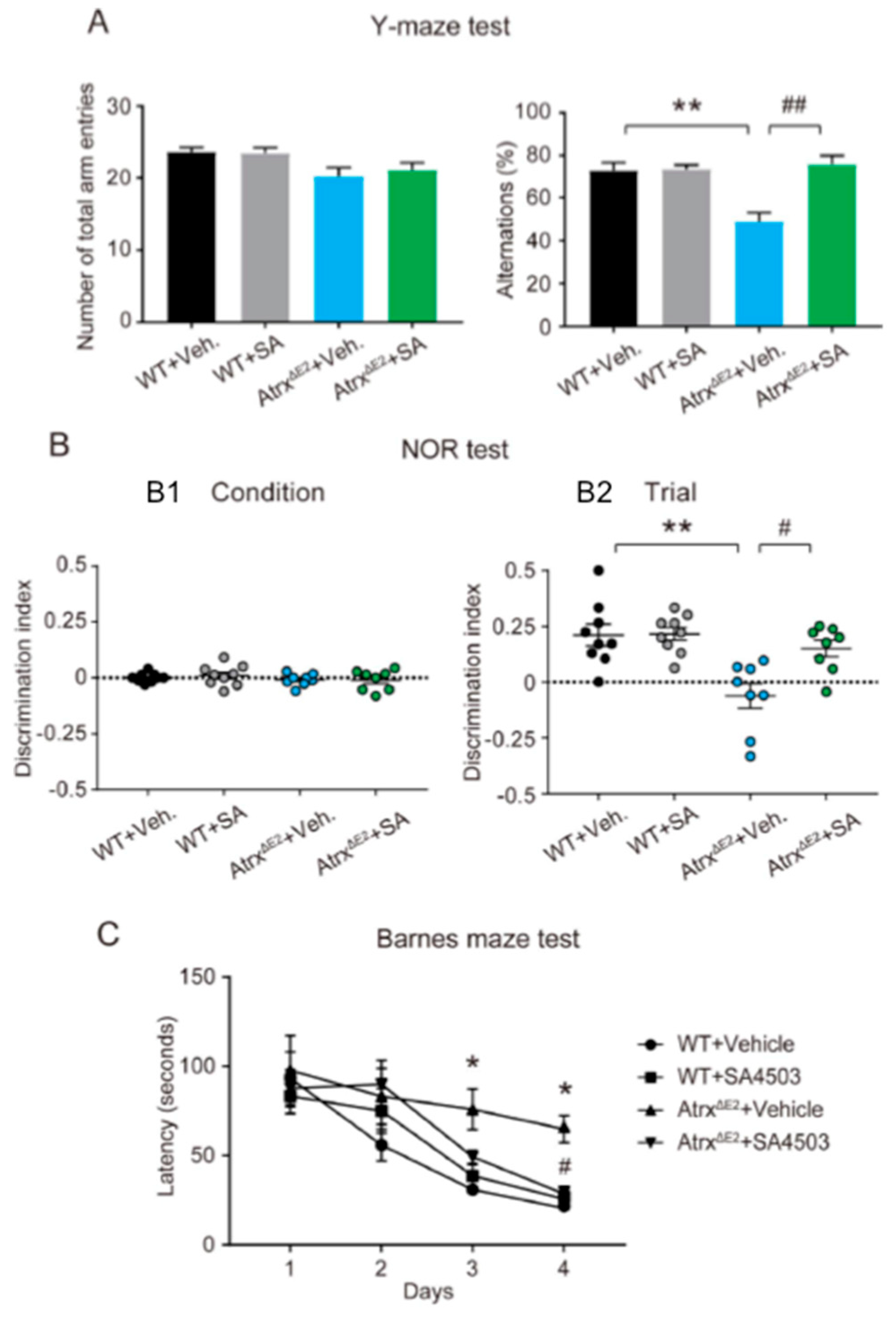 Ijms 19 02811 g003 Ijms 19 02811 g003