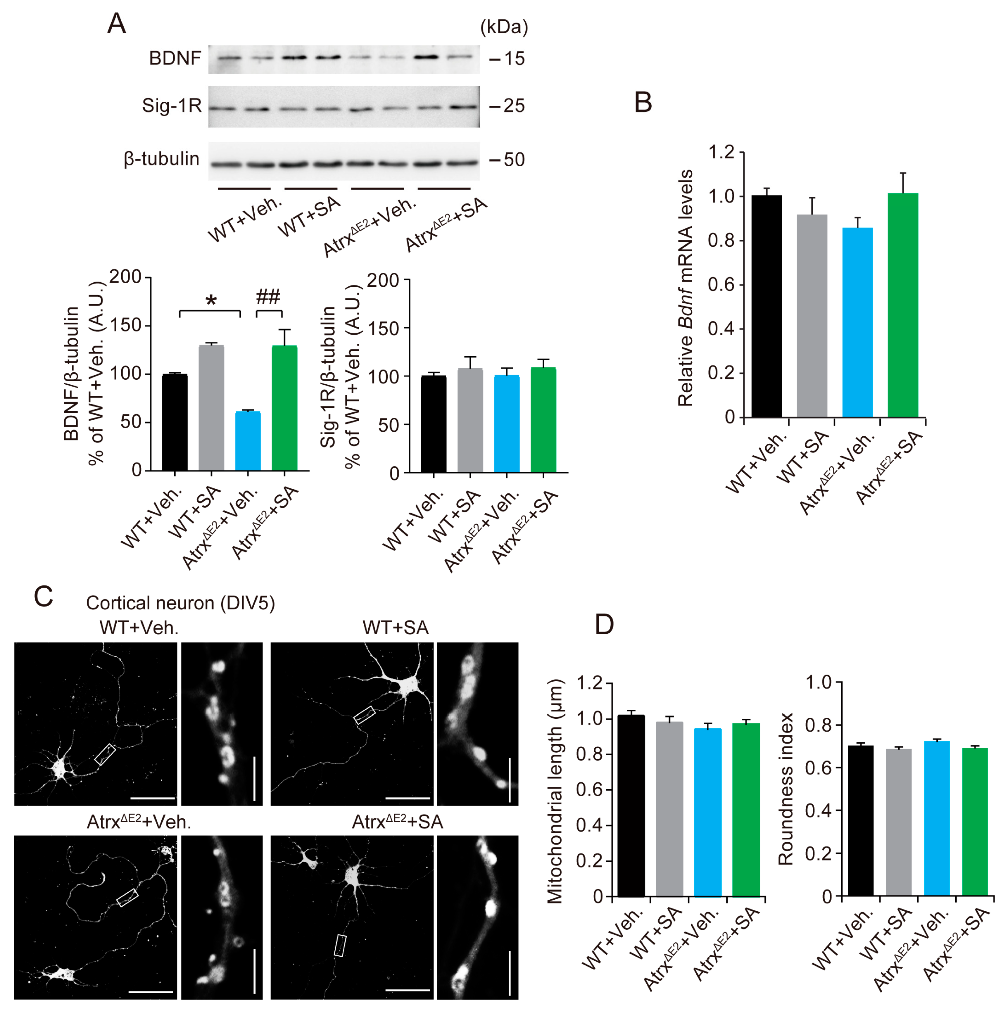 Ijms 19 02811 g004 Ijms 19 02811 g004