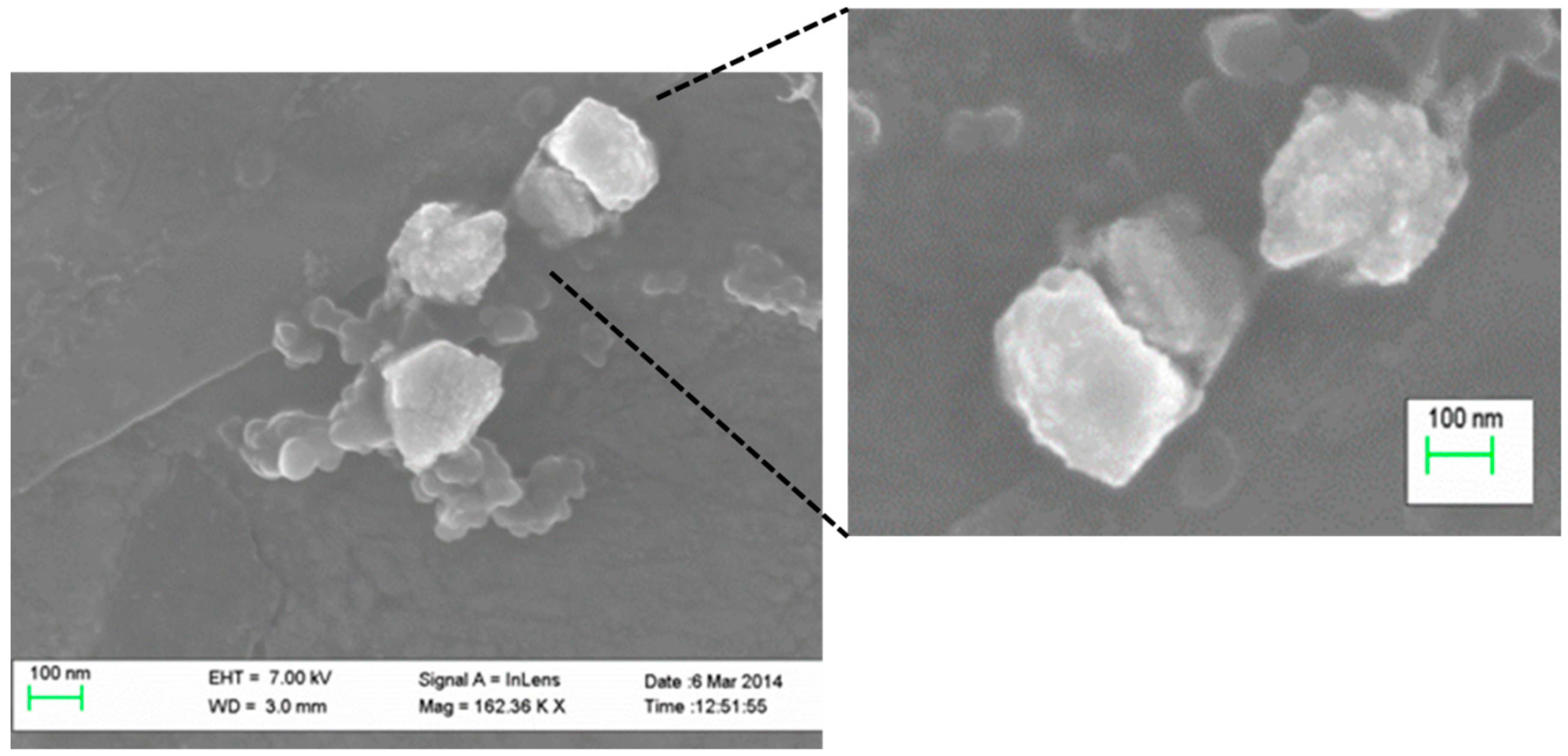 Ijms 19 02816 g001 Ijms 19 02816 g001