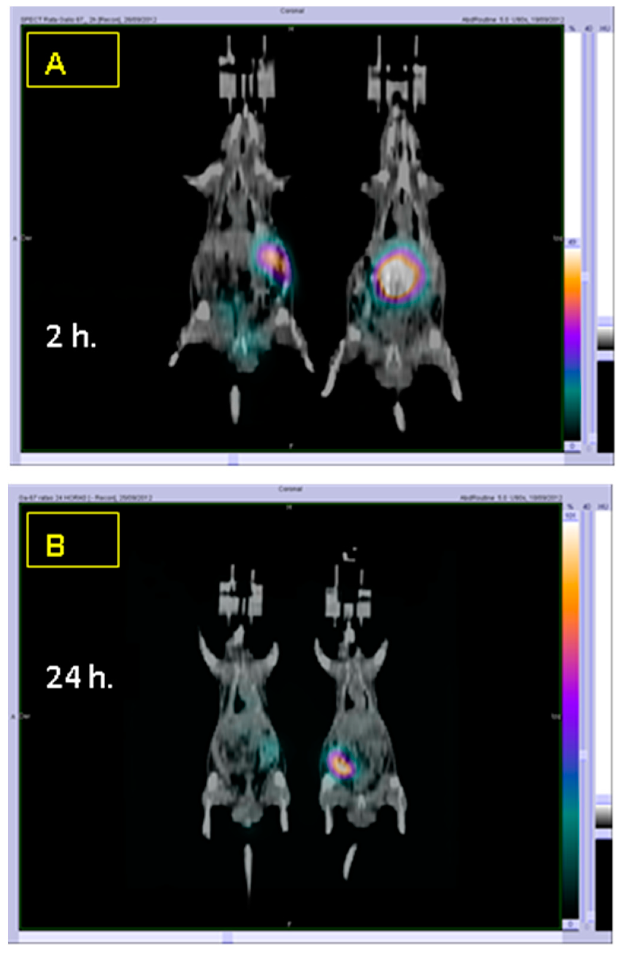 Ijms 19 02816 g003 Ijms 19 02816 g003