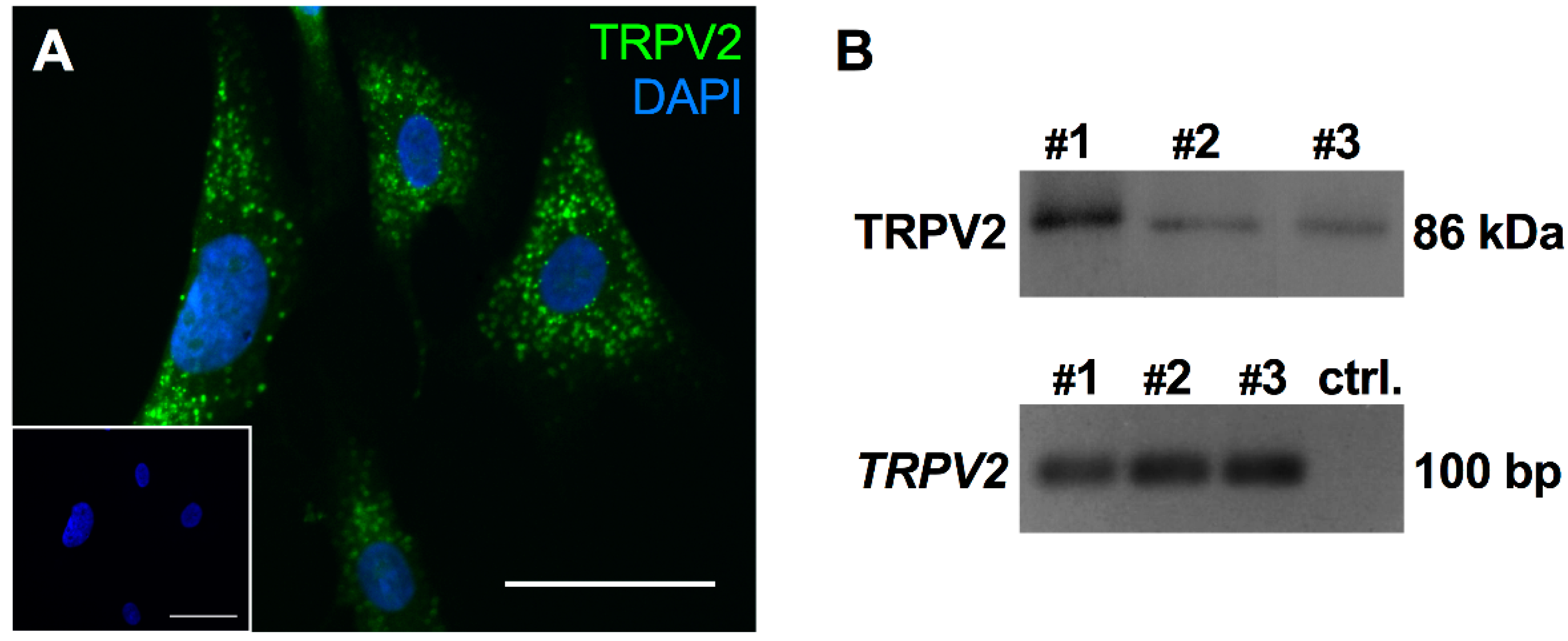 Ijms 19 02829 g001 Ijms 19 02829 g001