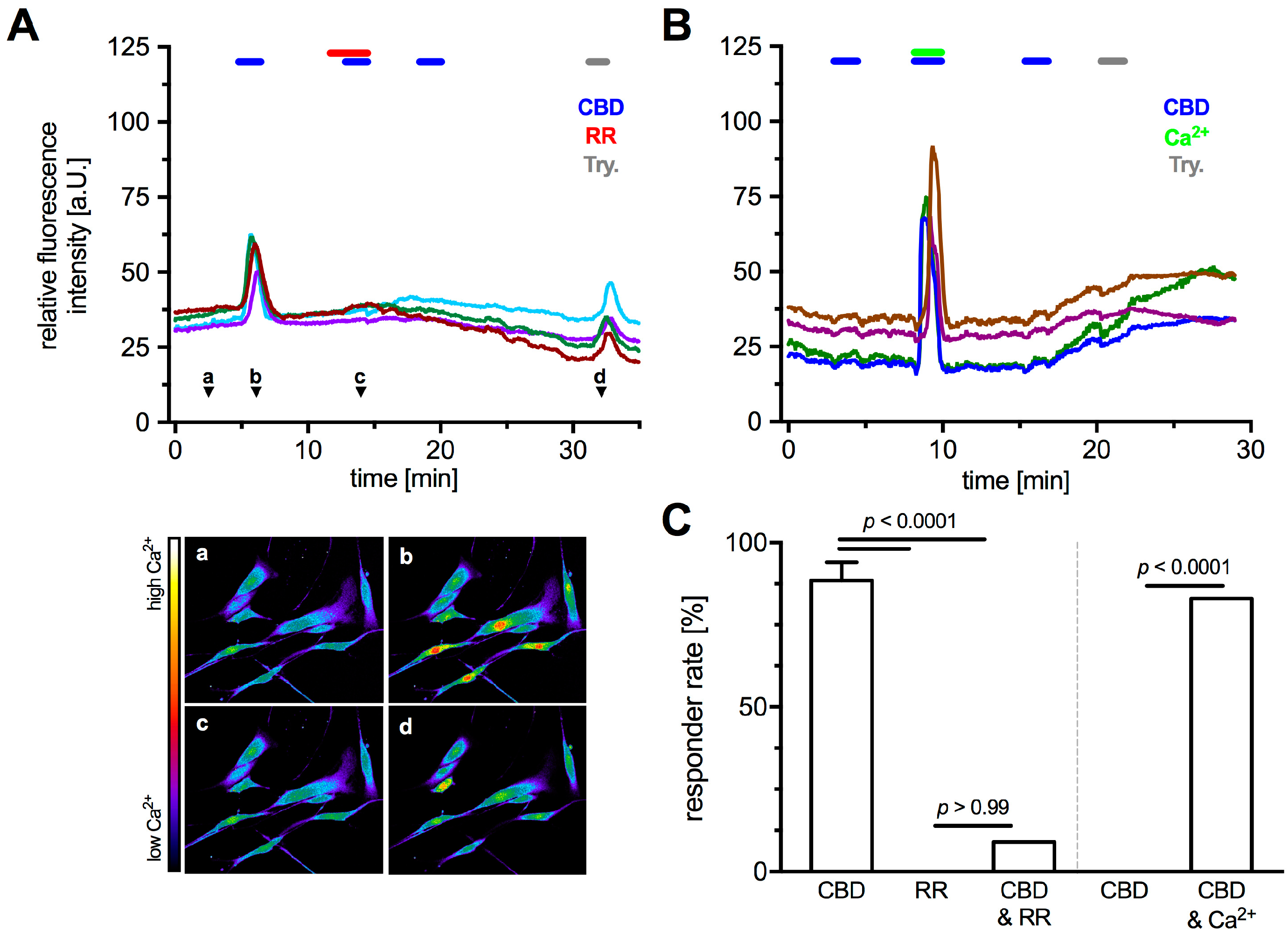 Ijms 19 02829 g003 Ijms 19 02829 g003