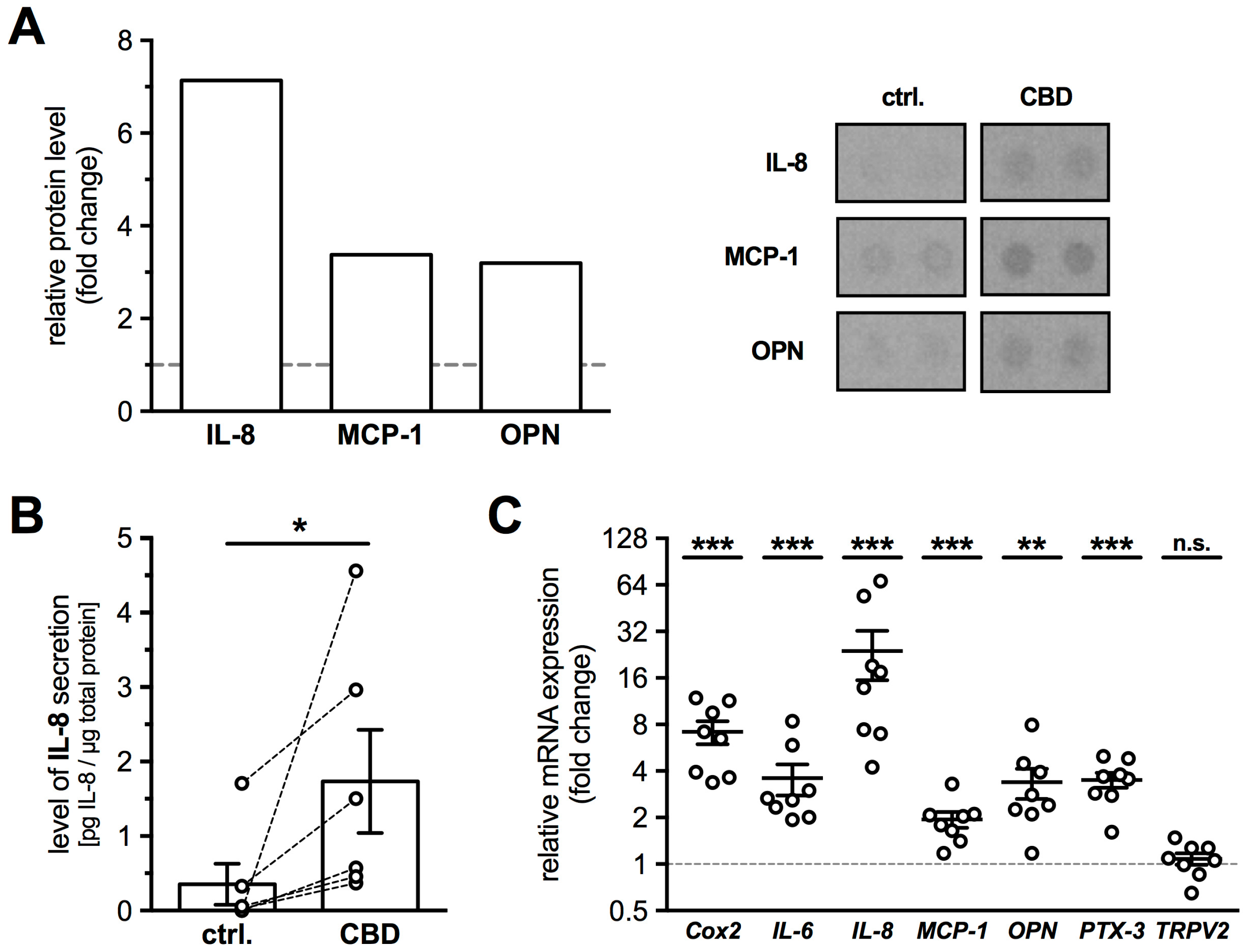 Ijms 19 02829 g005 Ijms 19 02829 g005