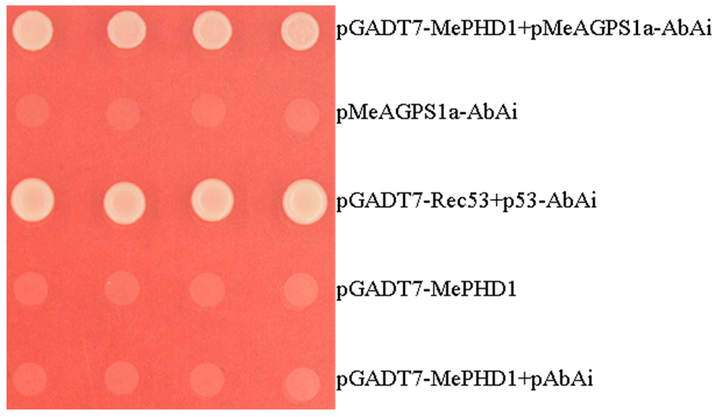 Ijms 19 02831 g001