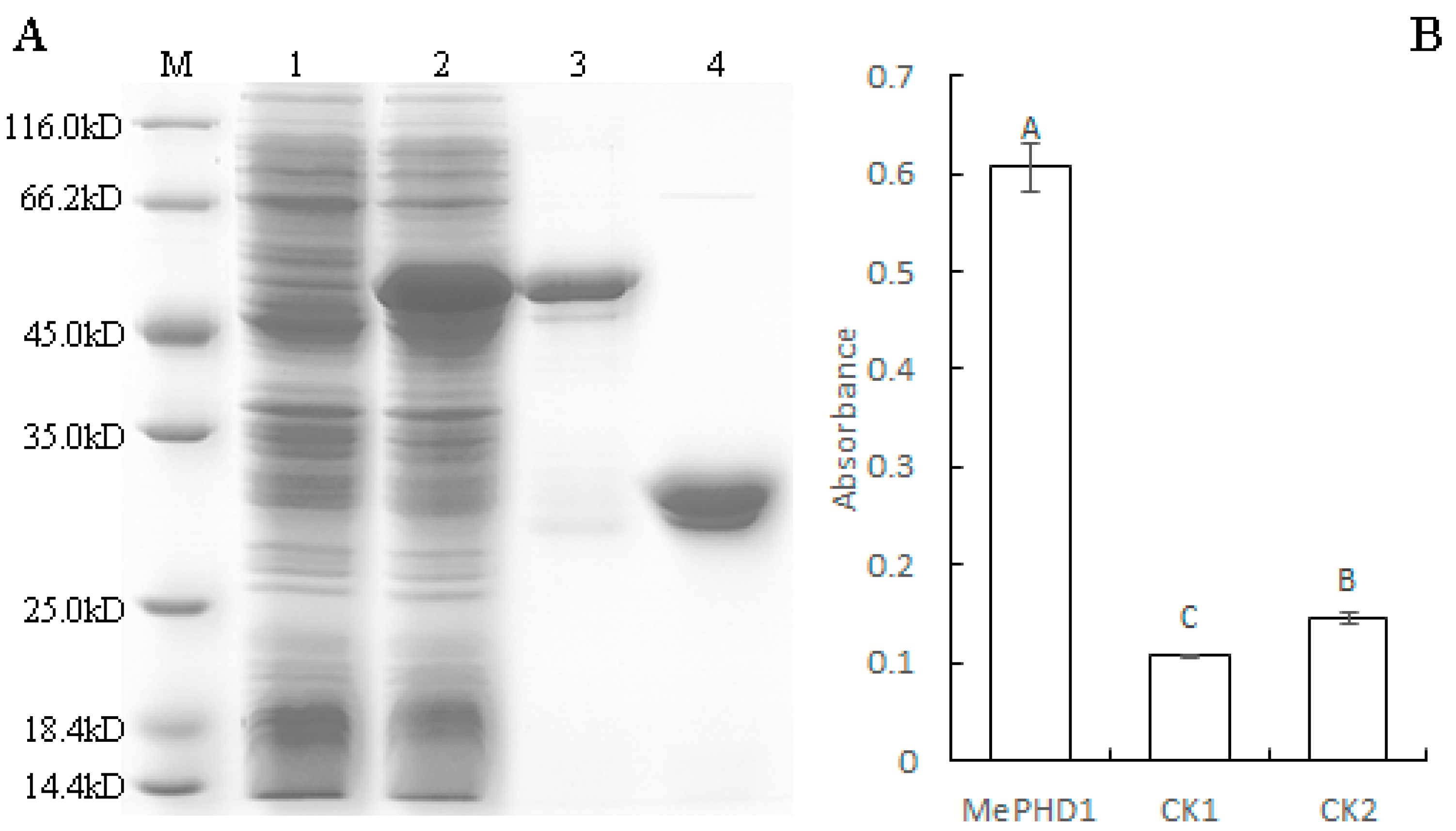 Ijms 19 02831 g005