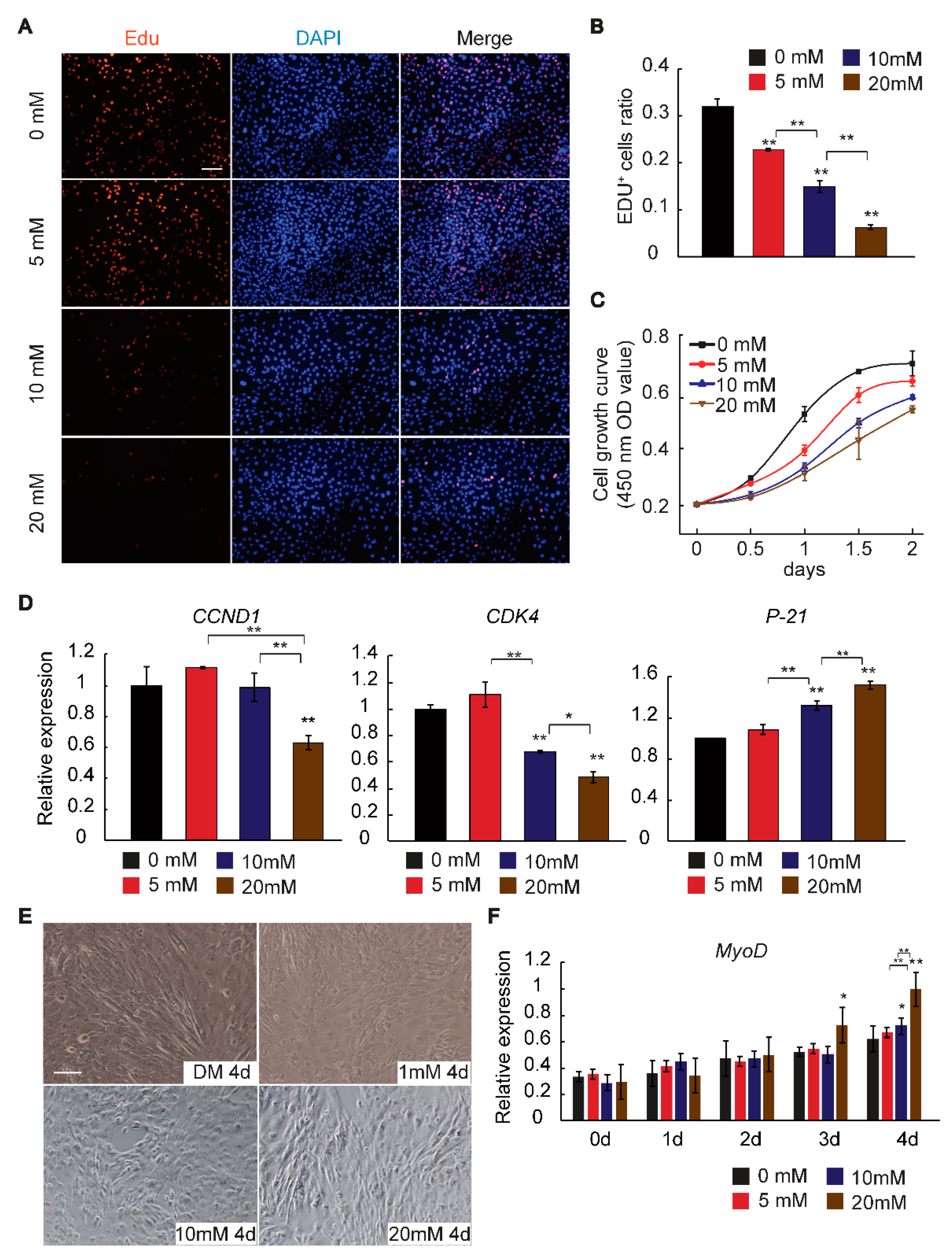 Ijms 19 02837 g001 Ijms 19 02837 g001