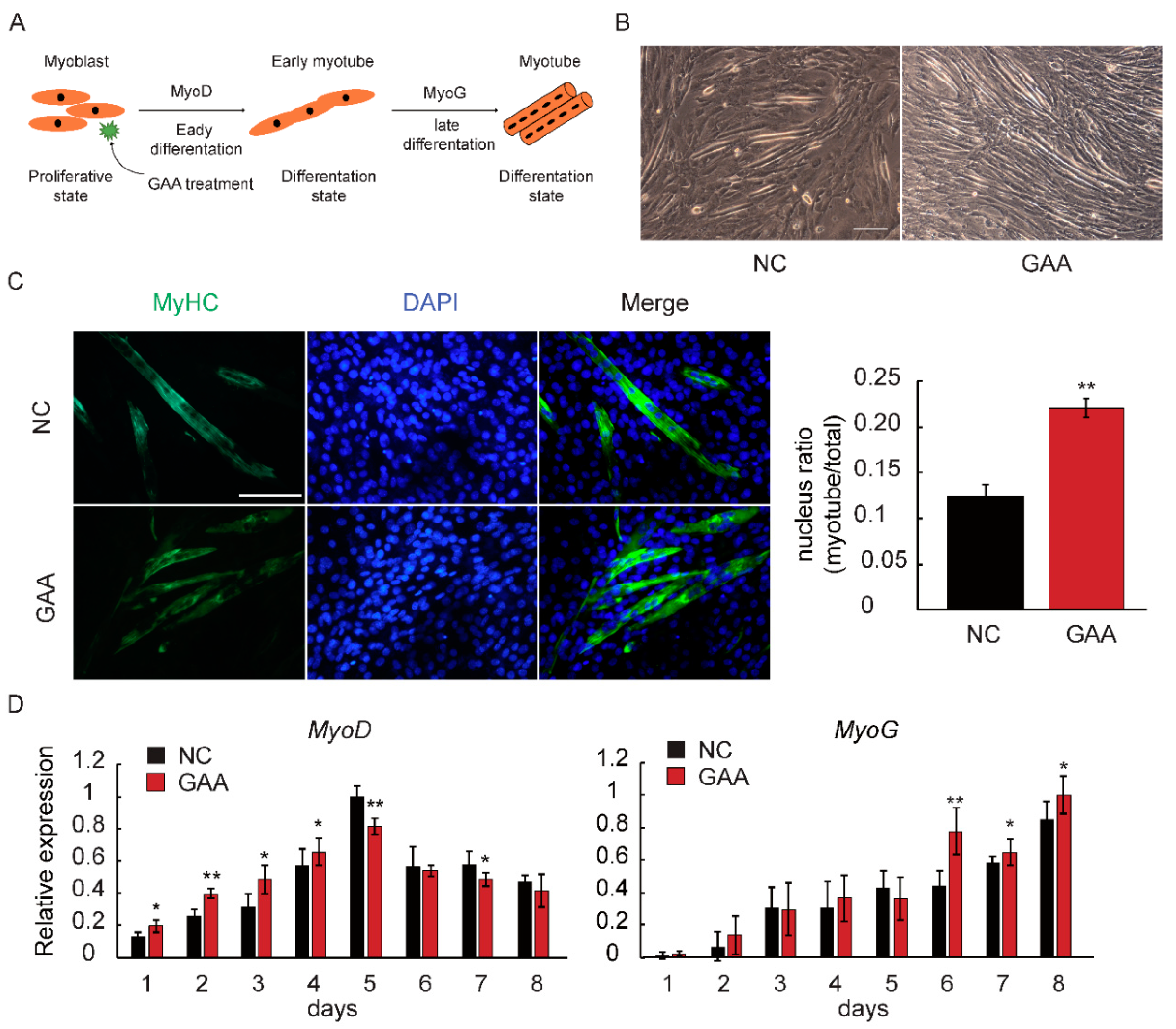 Ijms 19 02837 g002 Ijms 19 02837 g002