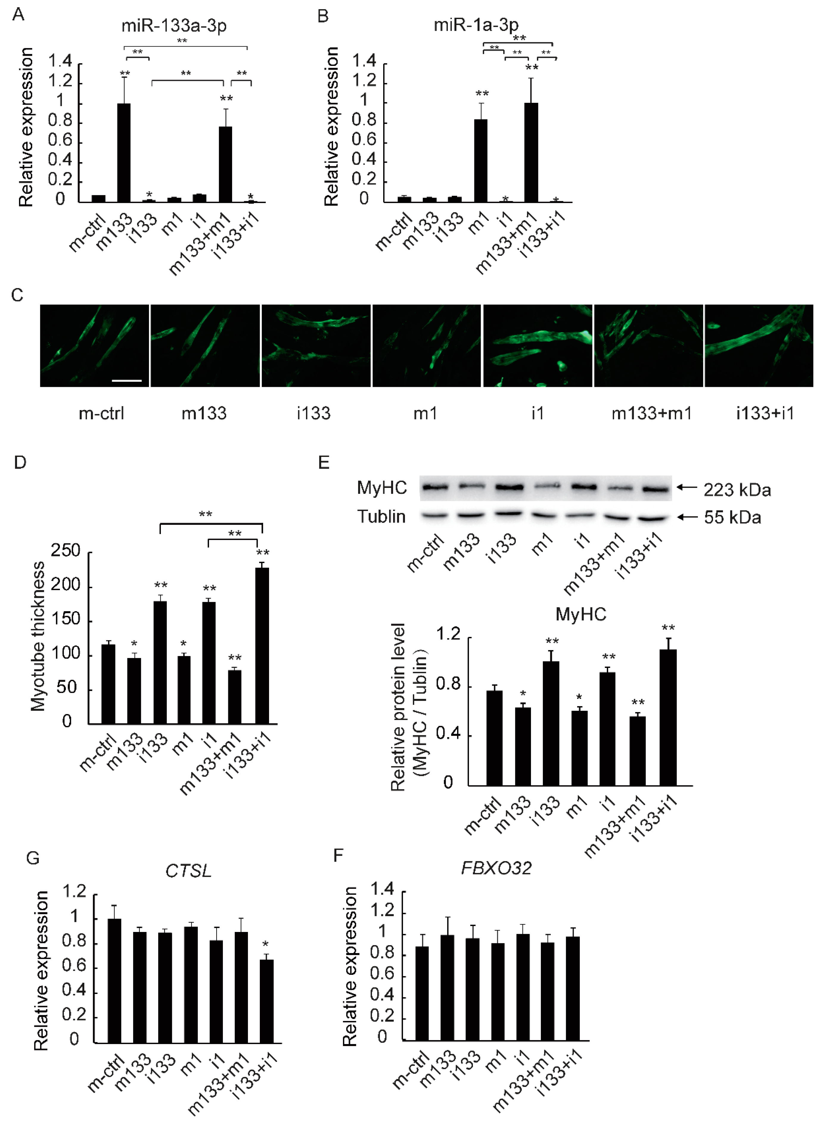 Ijms 19 02837 g005 Ijms 19 02837 g005