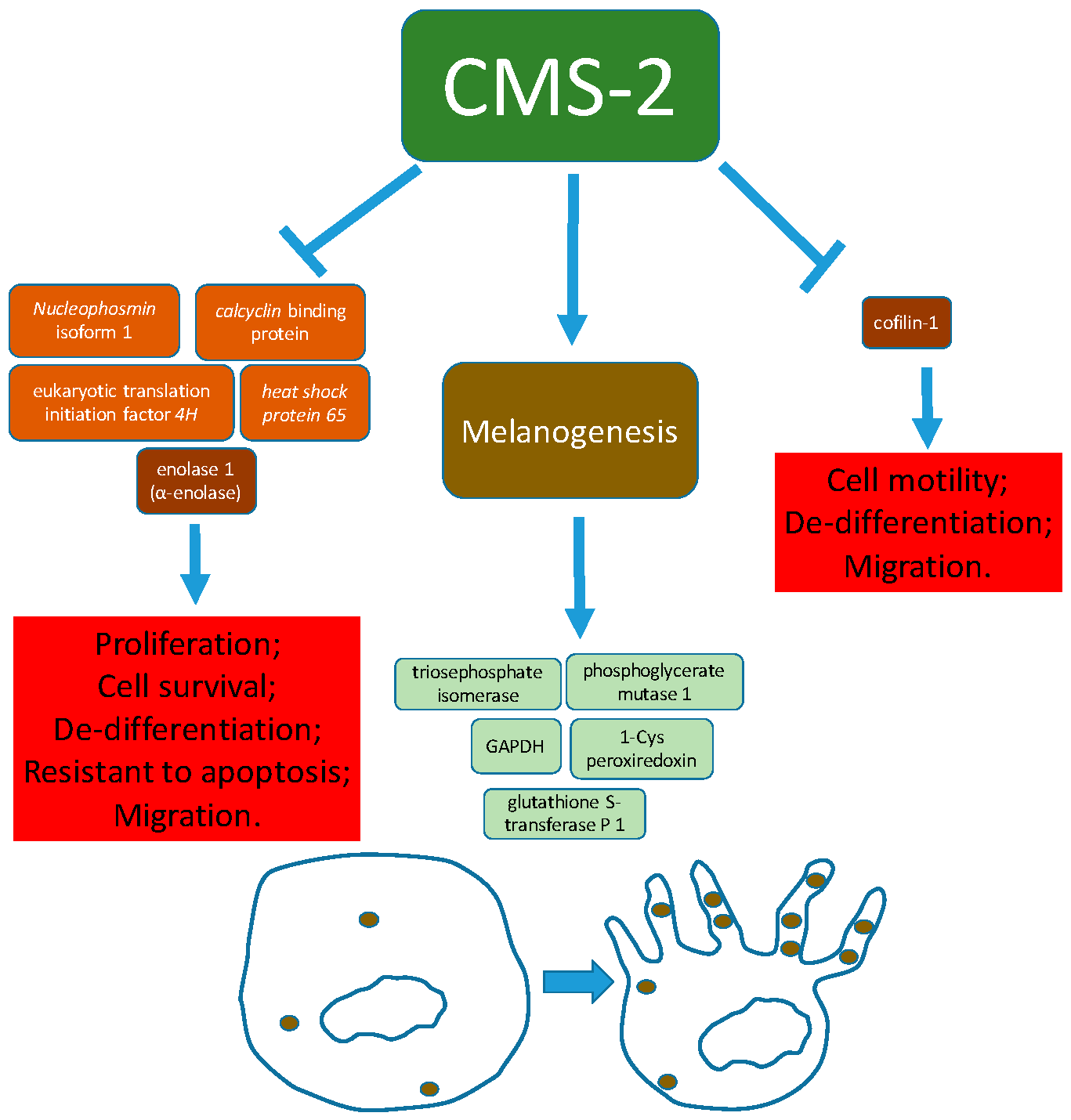Ijms 19 02846 g008 Ijms 19 02846 g008