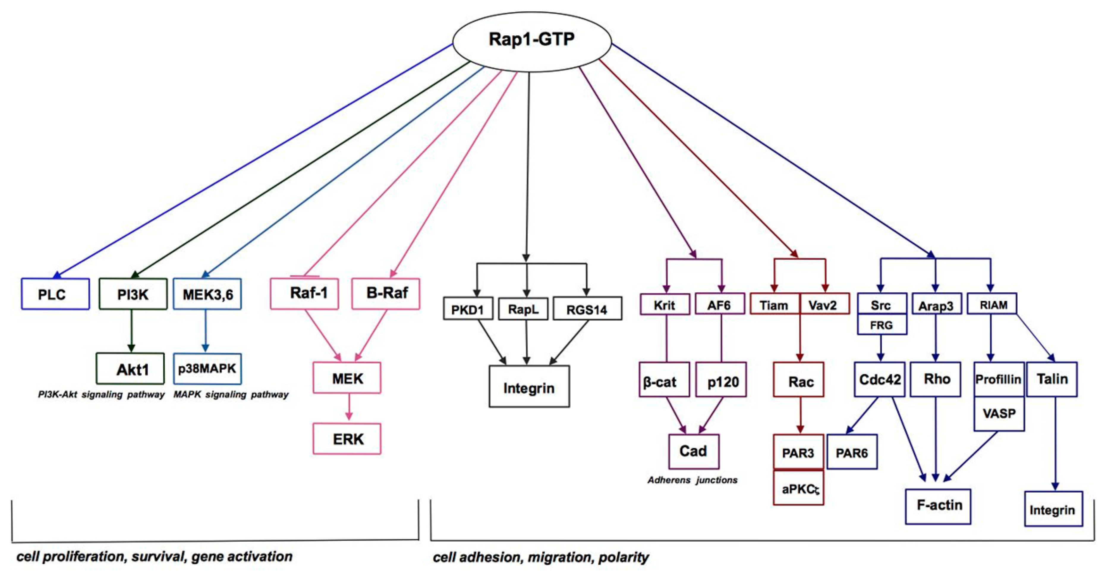 Ijms 19 02848 g003 Ijms 19 02848 g003