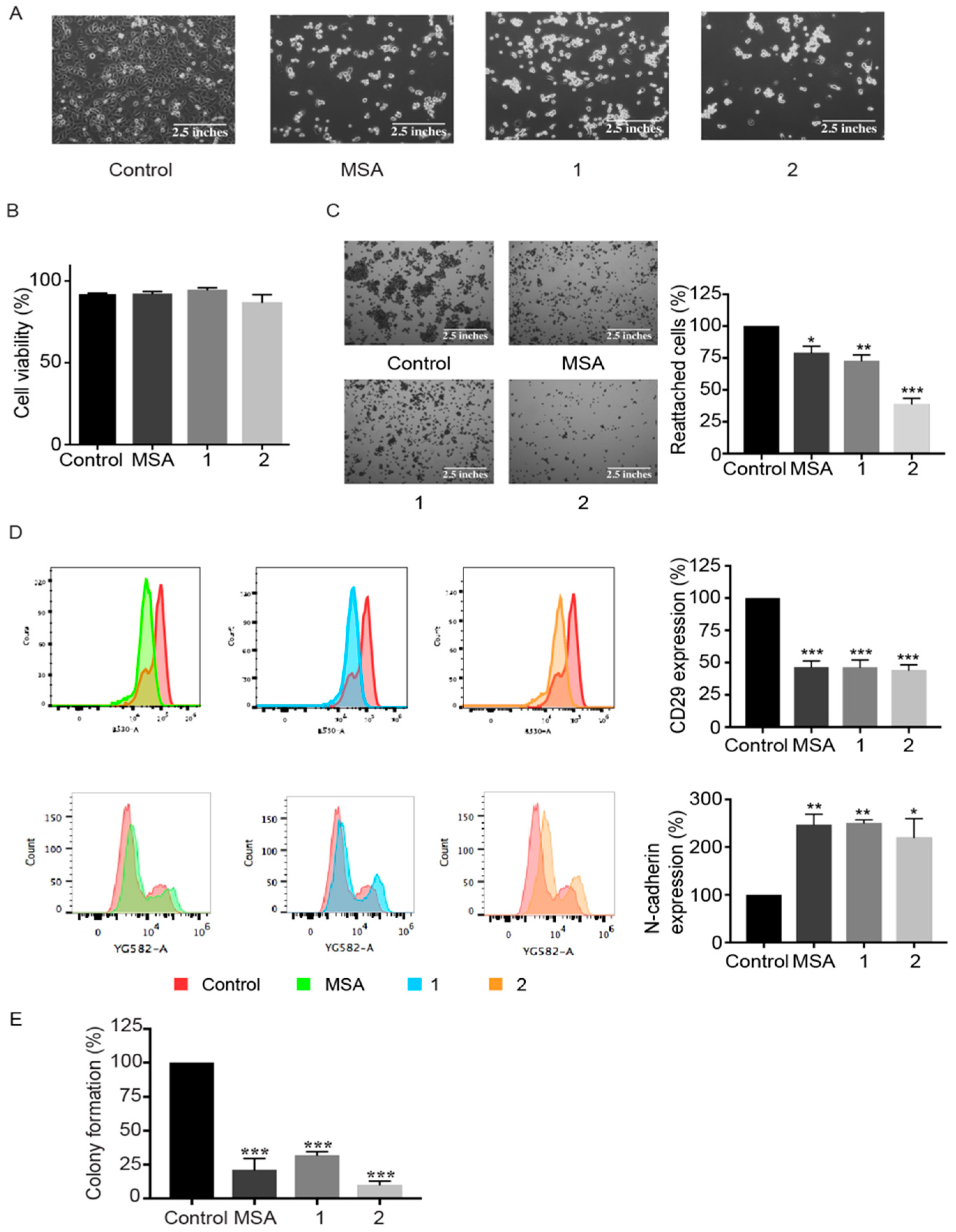 Ijms 19 02849 g003 Ijms 19 02849 g003