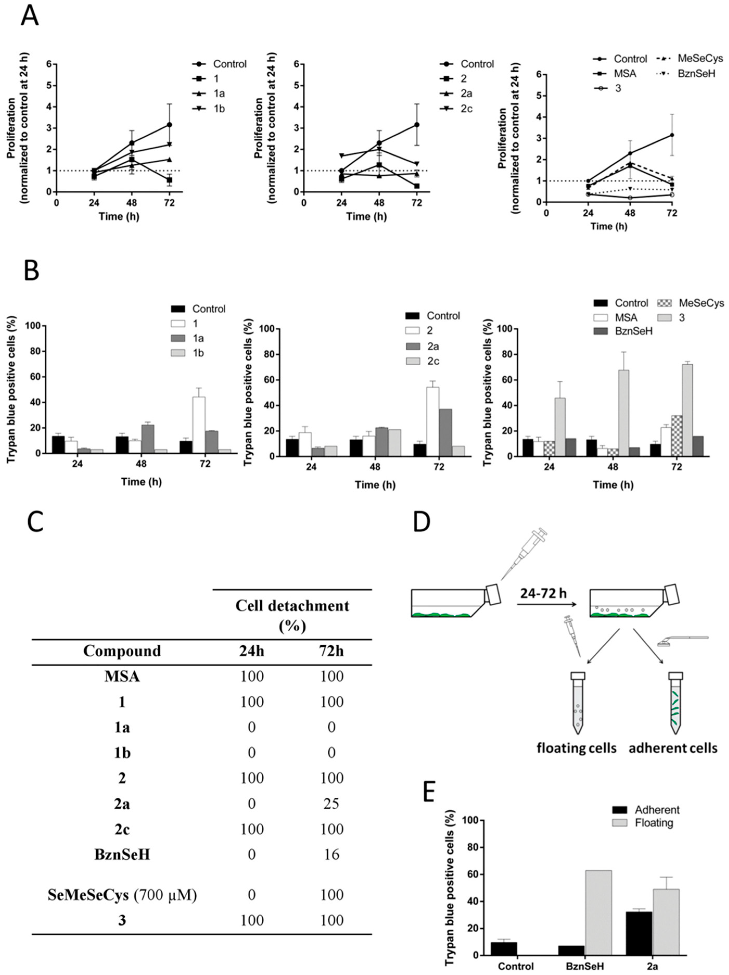 Ijms 19 02849 g005 Ijms 19 02849 g005