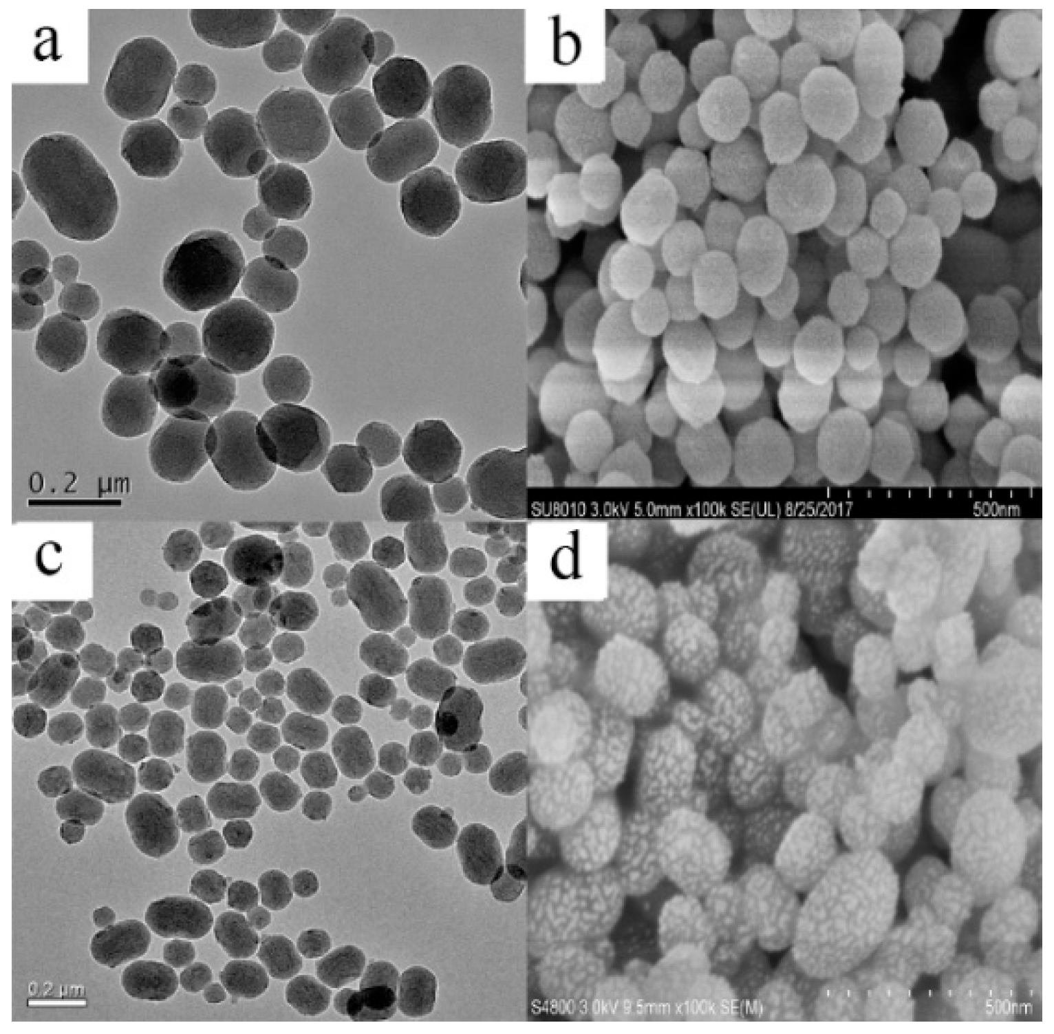 Ijms 19 02854 g002
