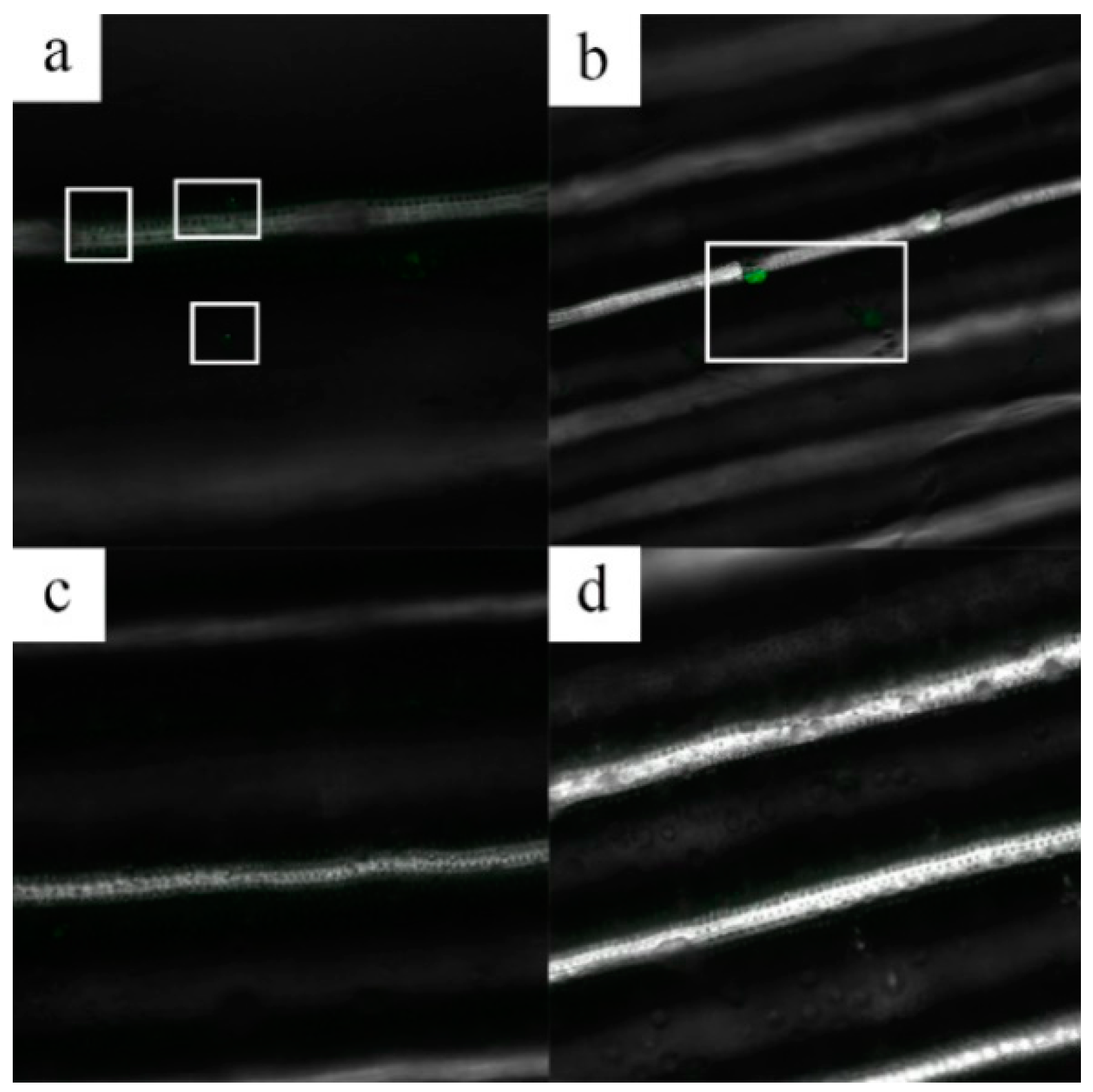 Ijms 19 02854 g007