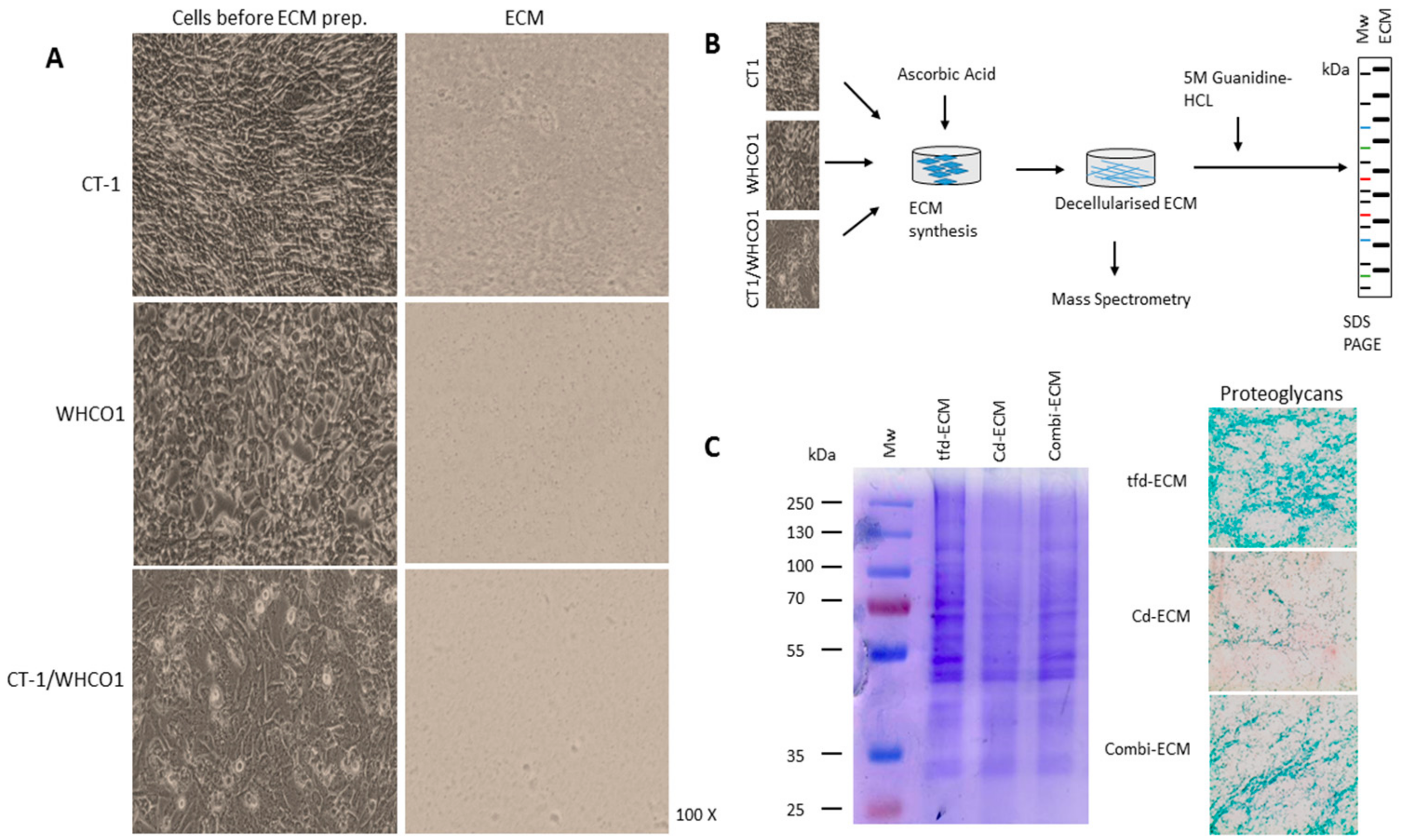 Ijms 19 02861 g002 Ijms 19 02861 g002
