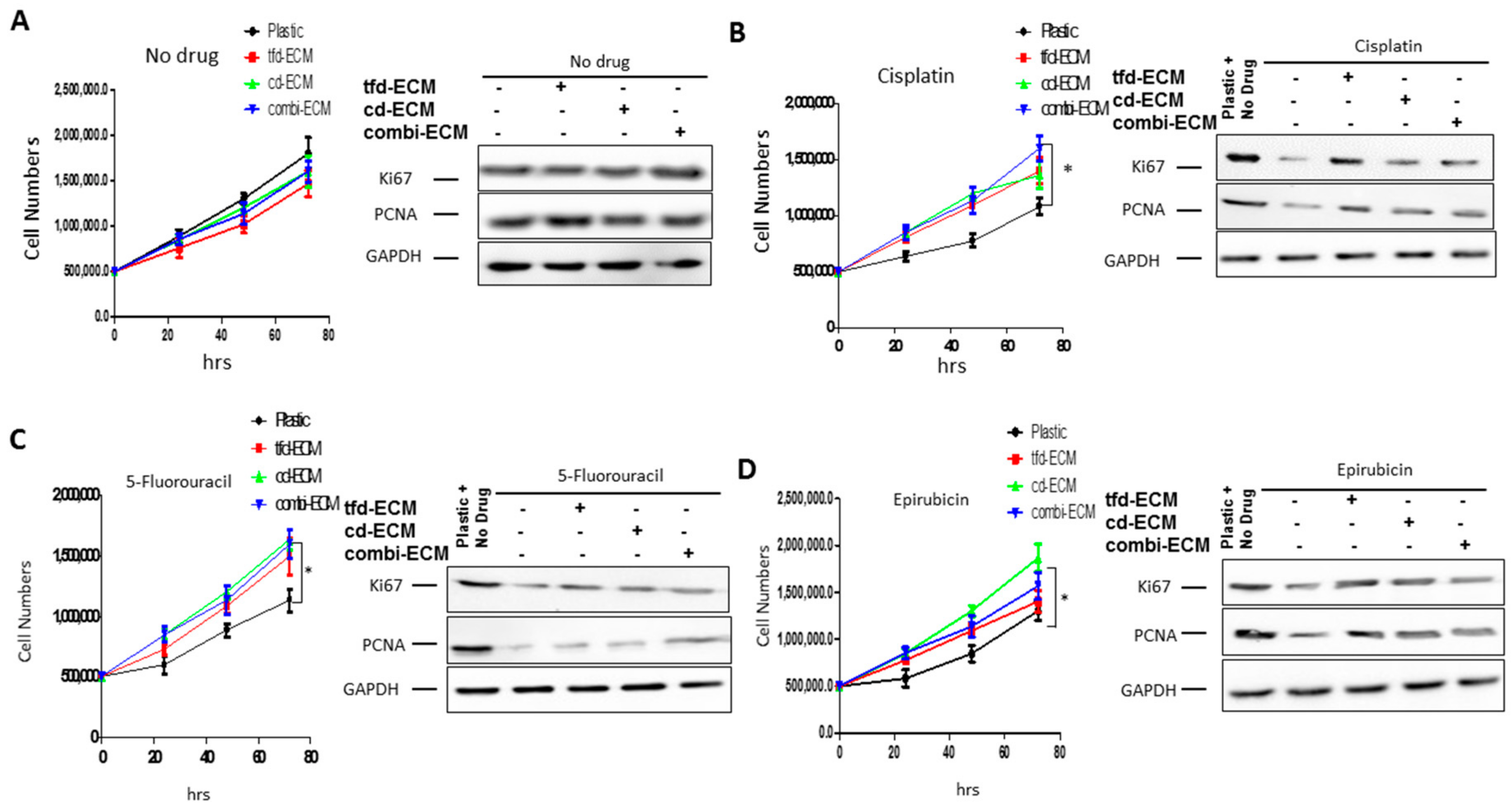 Ijms 19 02861 g003 Ijms 19 02861 g003