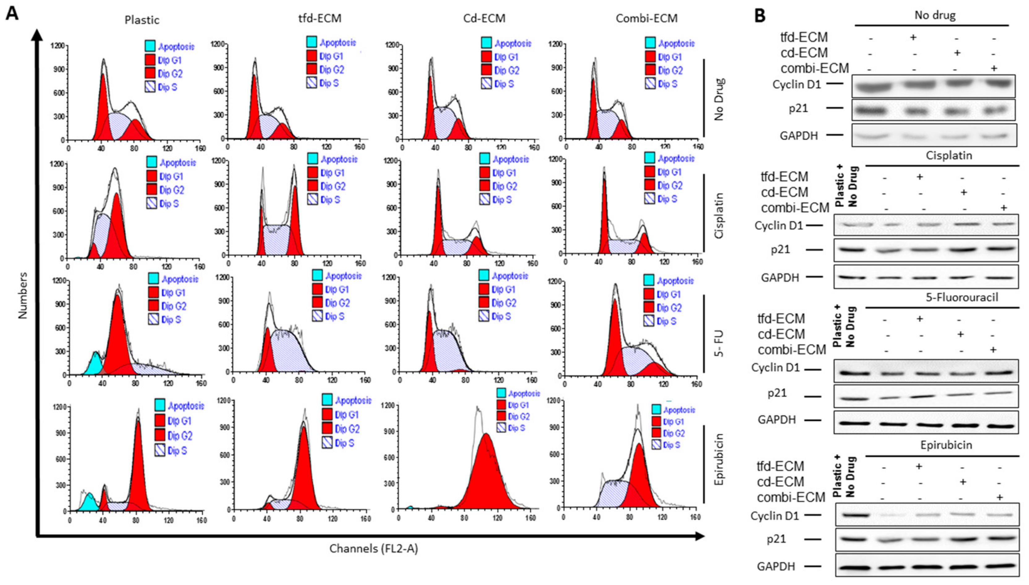 Ijms 19 02861 g004 Ijms 19 02861 g004