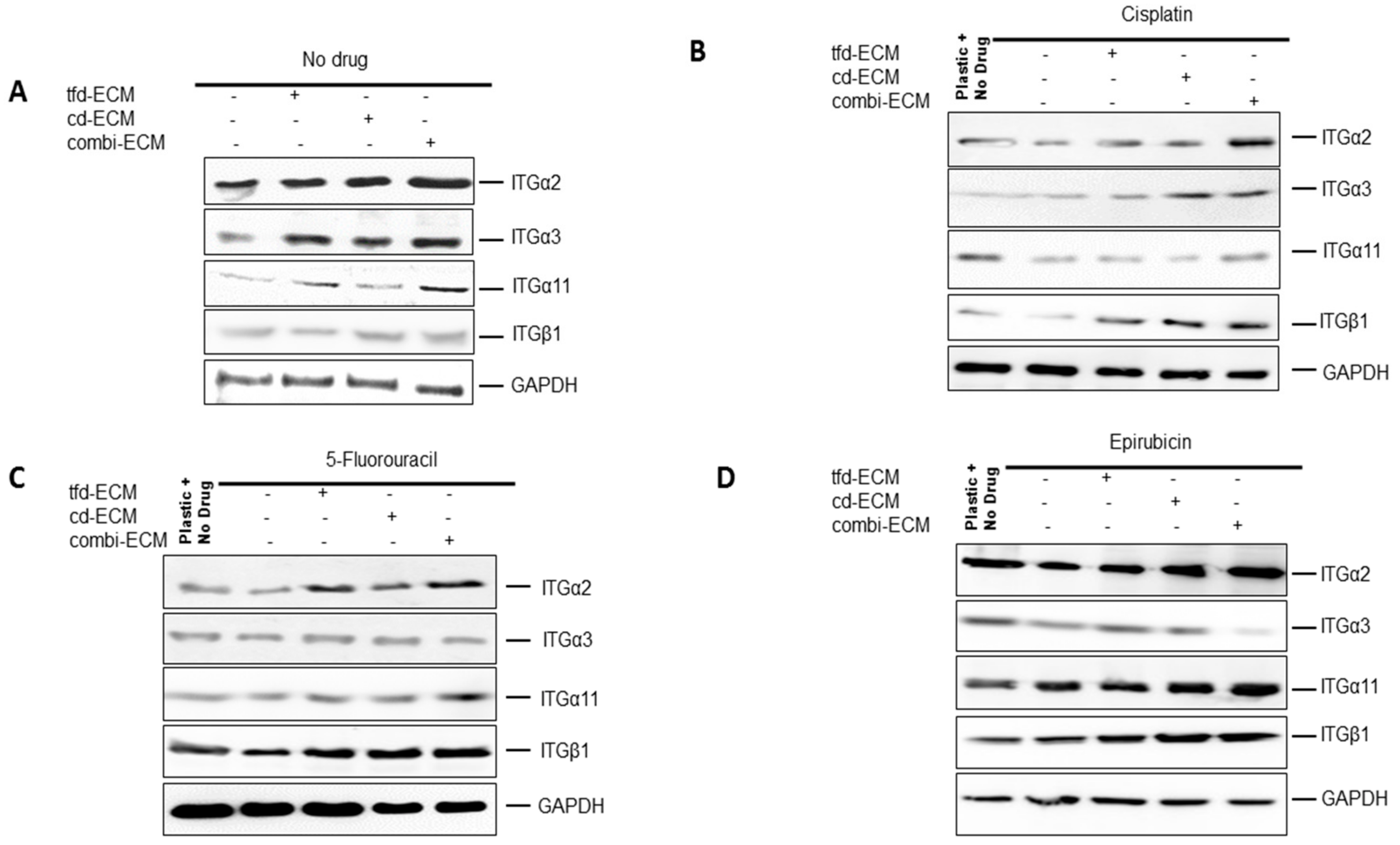 Ijms 19 02861 g007 Ijms 19 02861 g007