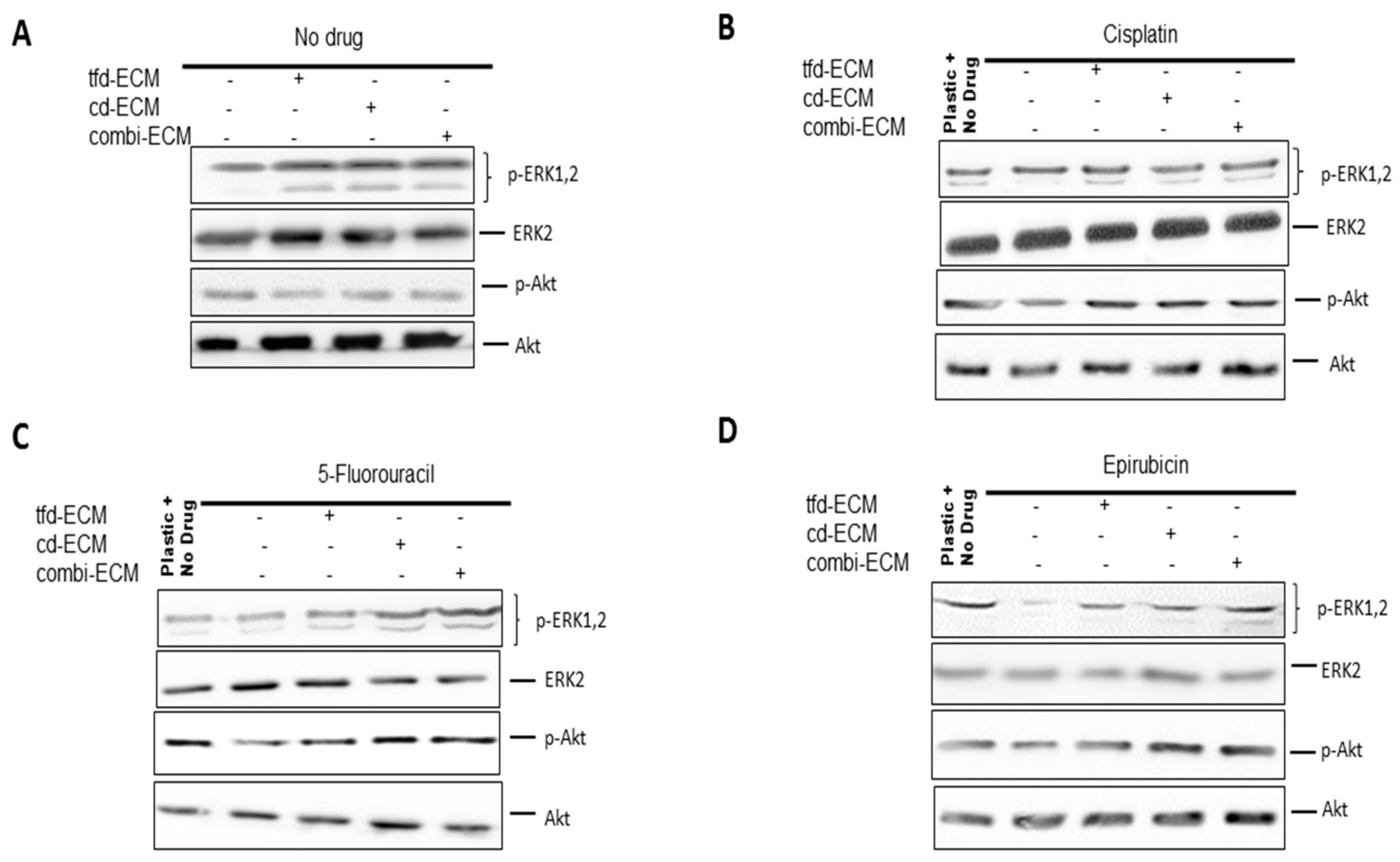 Ijms 19 02861 g008 Ijms 19 02861 g008