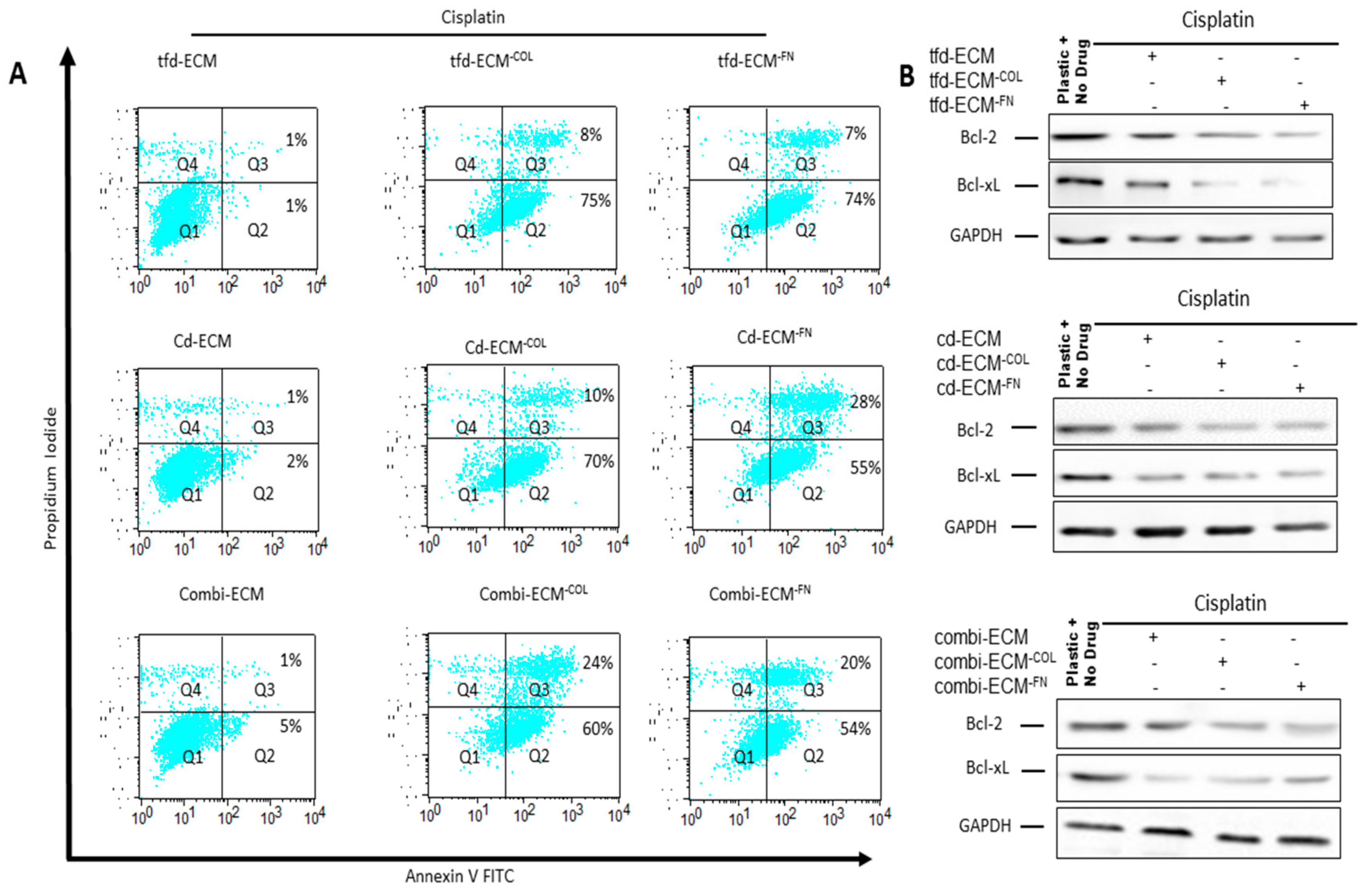 Ijms 19 02861 g009 Ijms 19 02861 g009