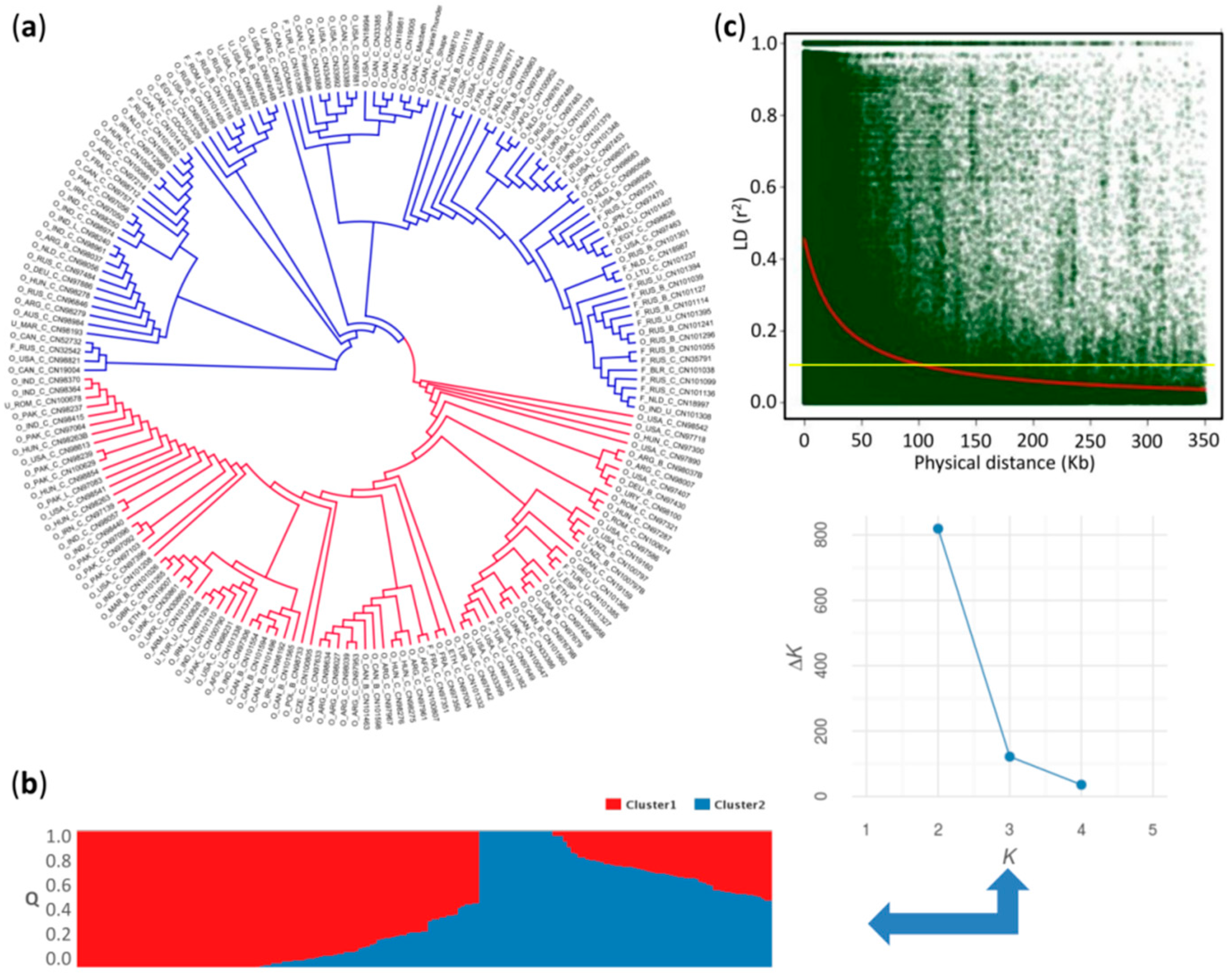 Ijms 19 02870 g002 Ijms 19 02870 g002