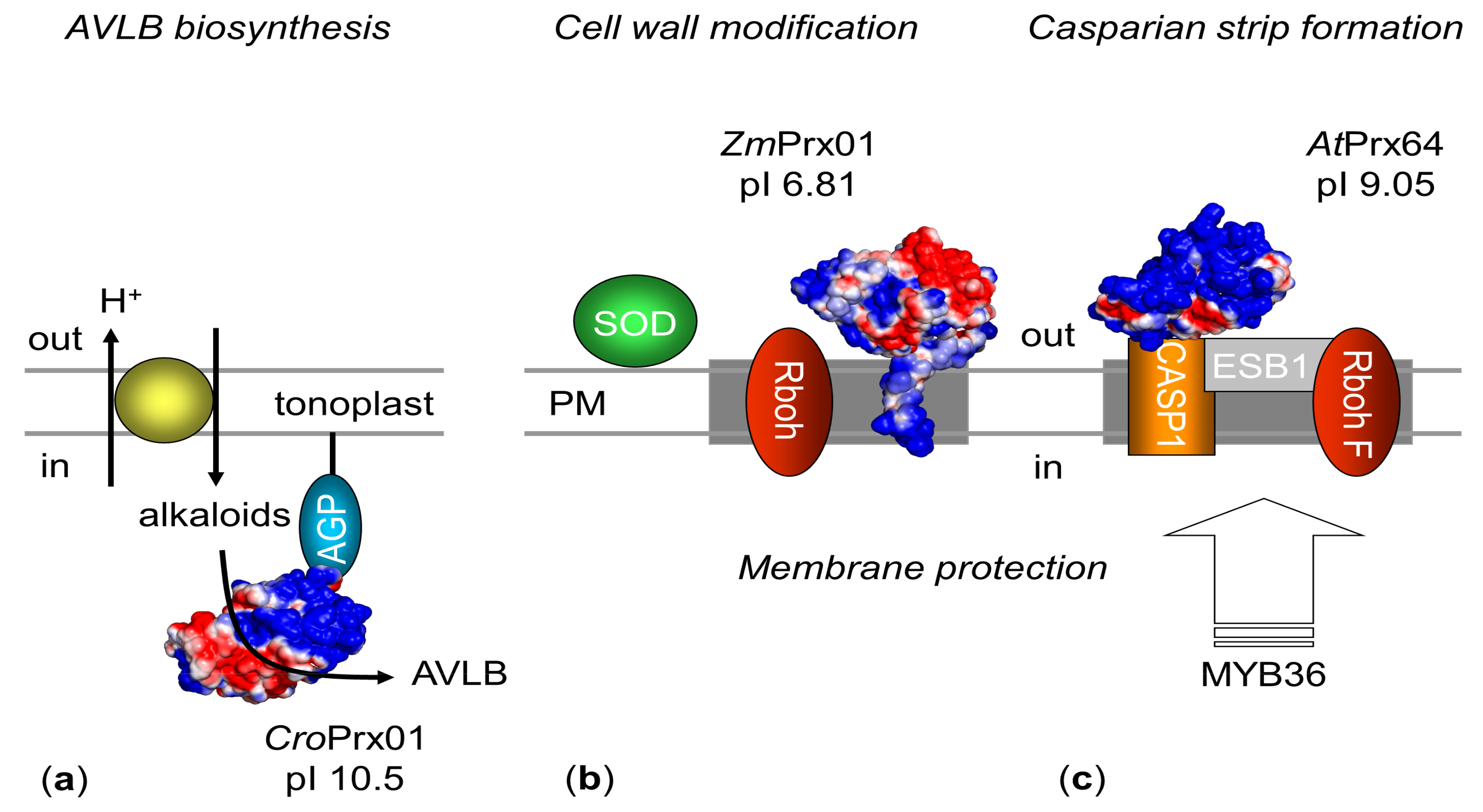 Ijms 19 02876 g003 Ijms 19 02876 g003