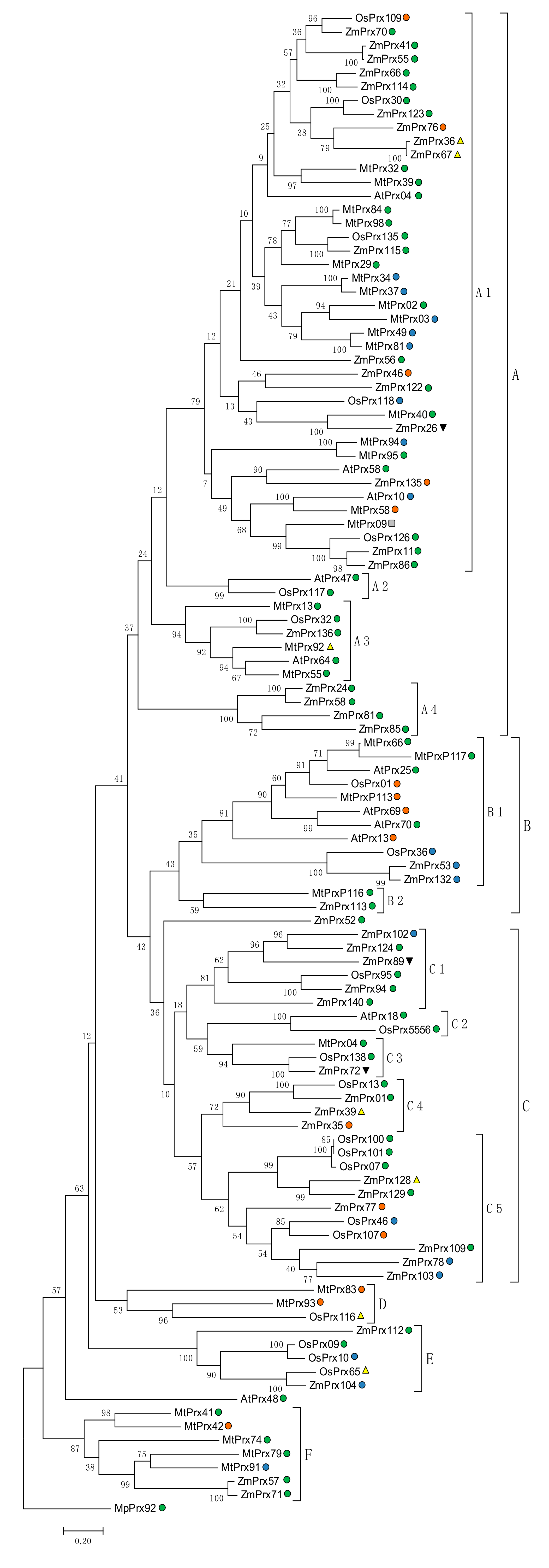 Ijms 19 02876 g004 Ijms 19 02876 g004