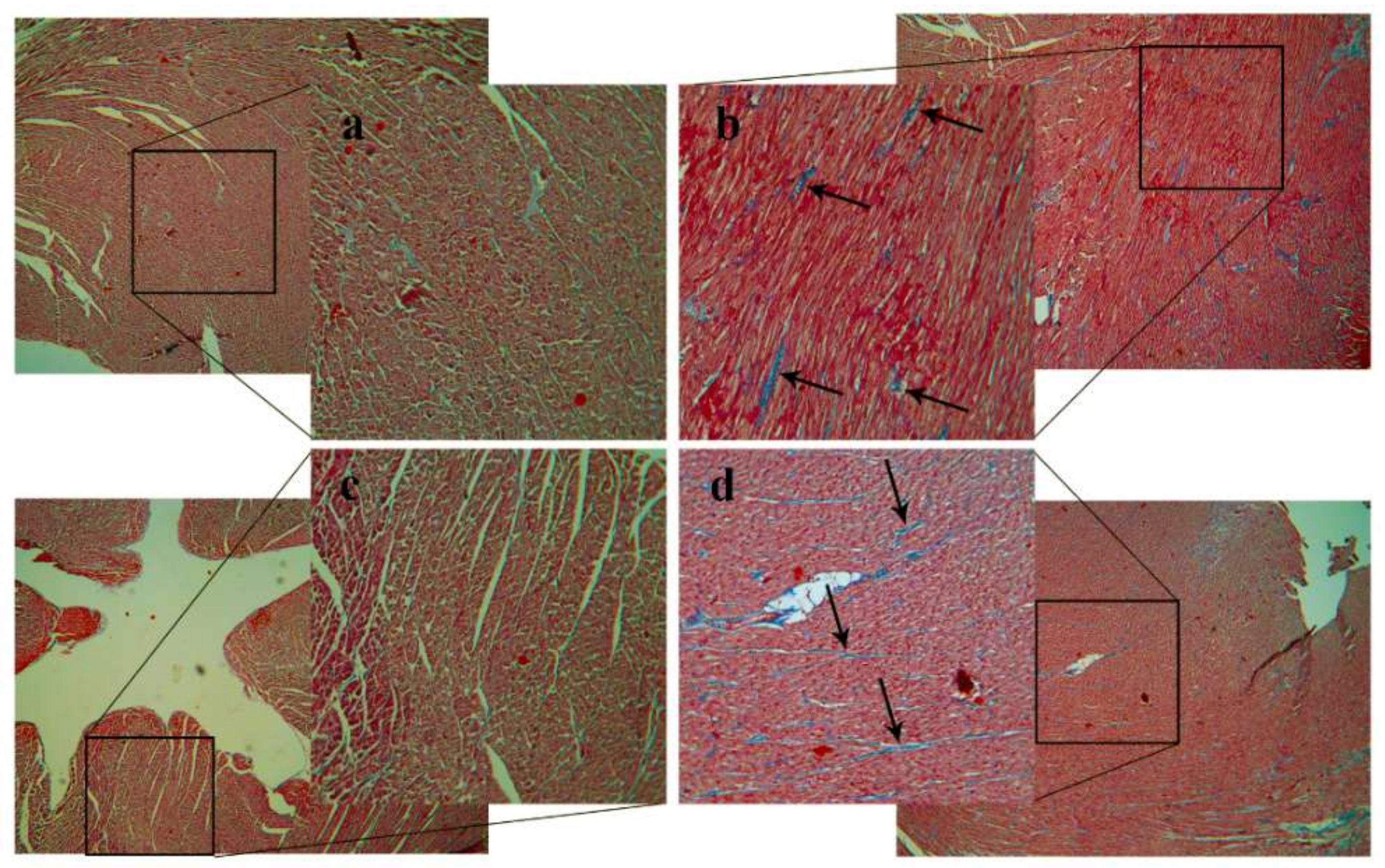 Ijms 19 02882 g003 Ijms 19 02882 g003