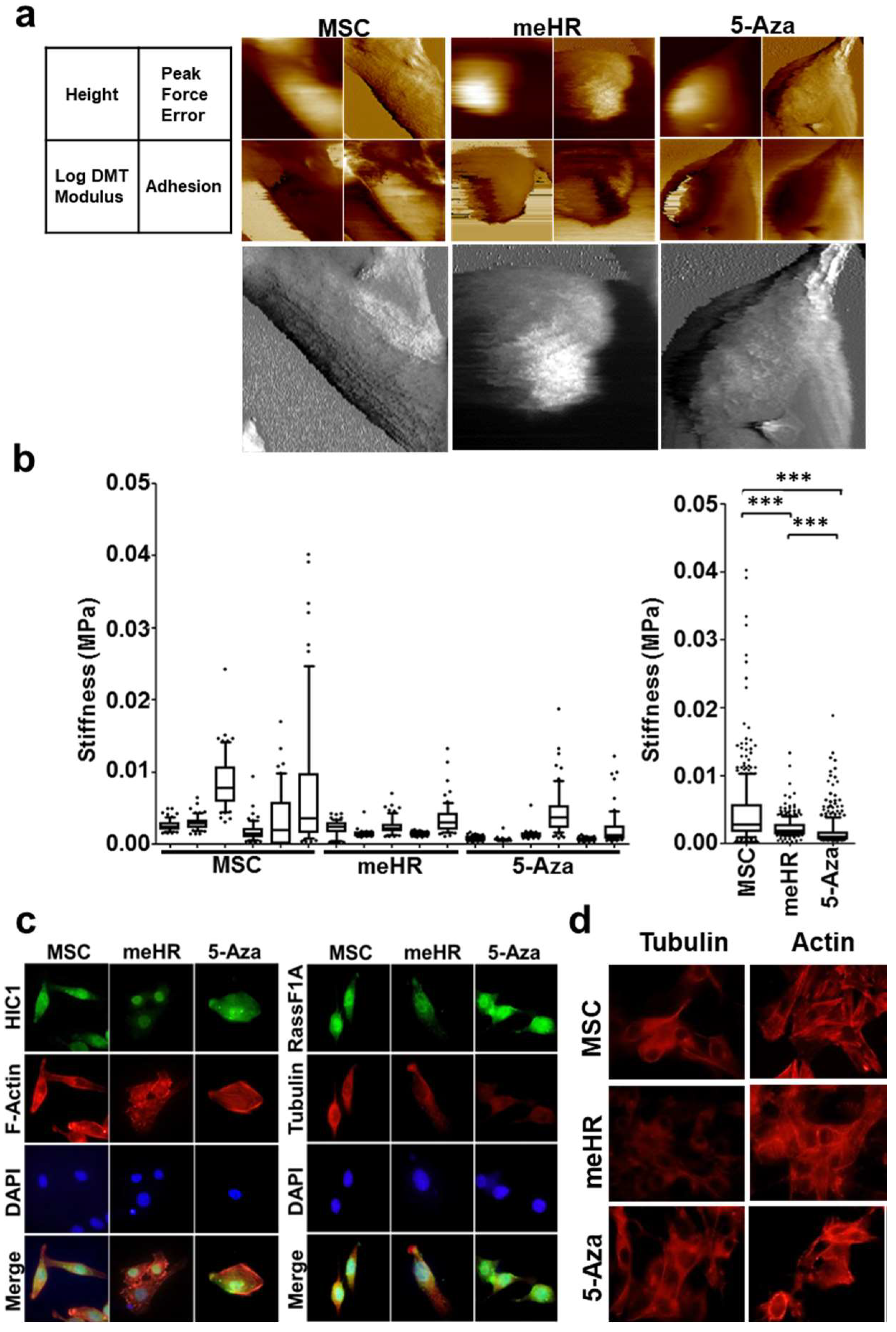 Ijms 19 02884 g002 Ijms 19 02884 g002
