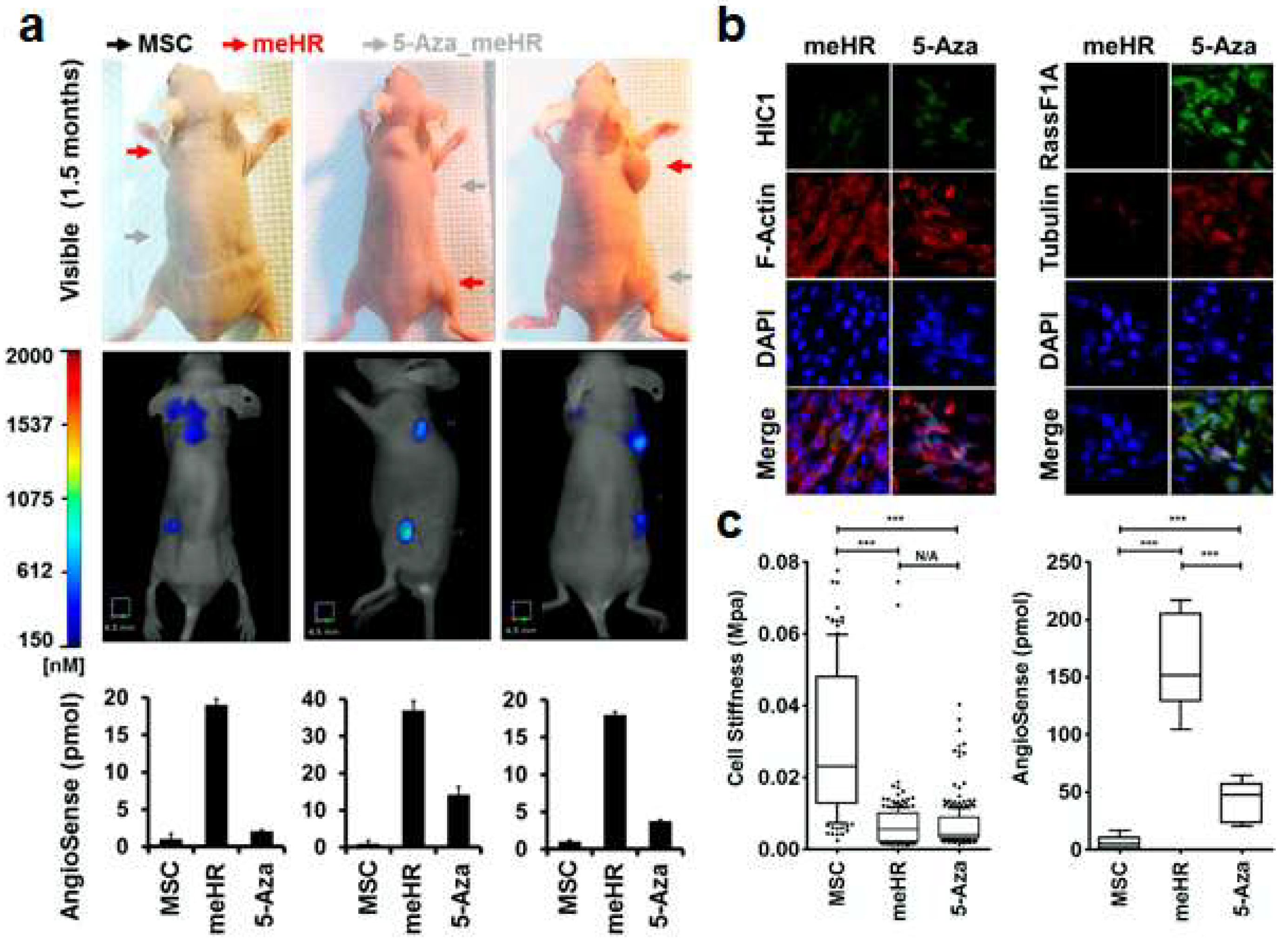 Ijms 19 02884 g004 Ijms 19 02884 g004