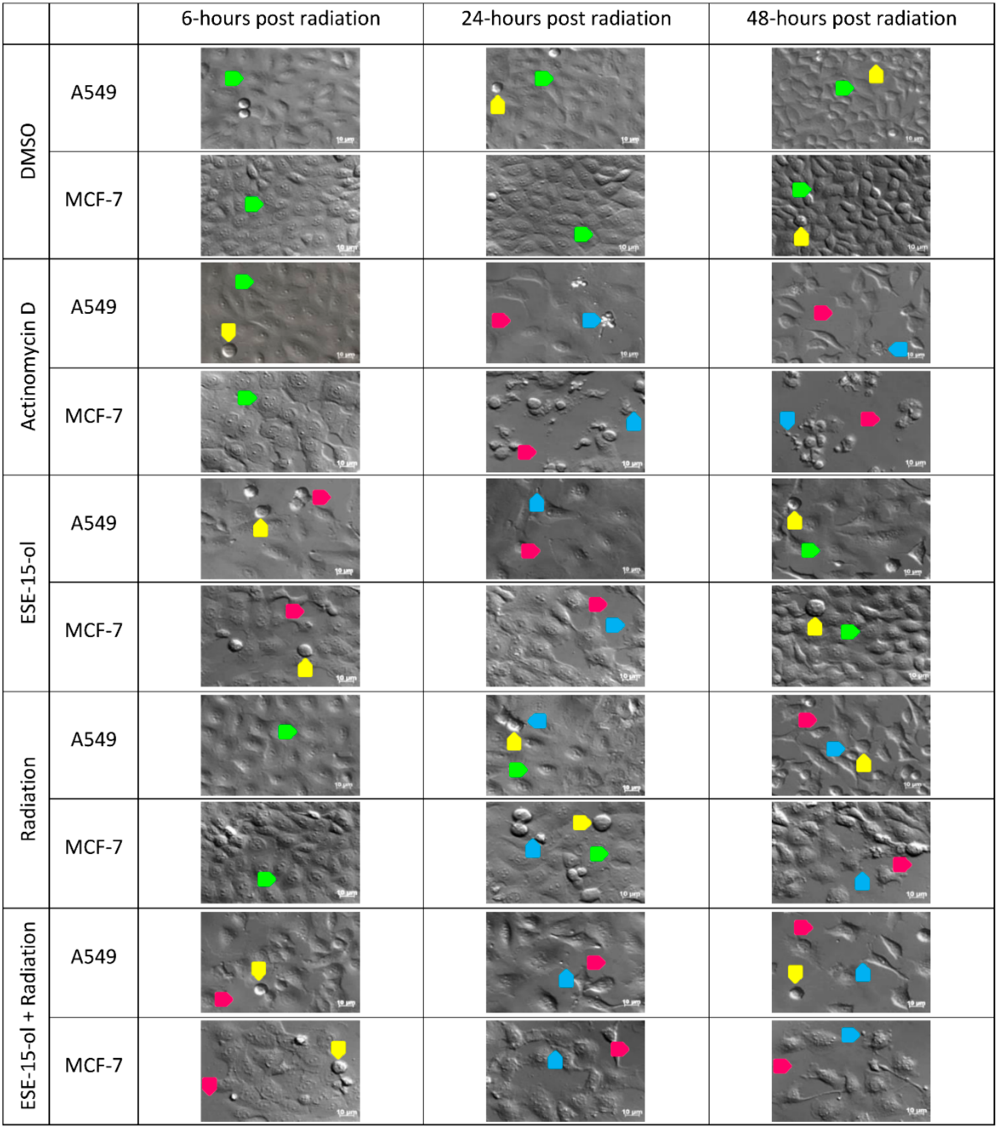 Ijms 19 02887 g003 Ijms 19 02887 g003