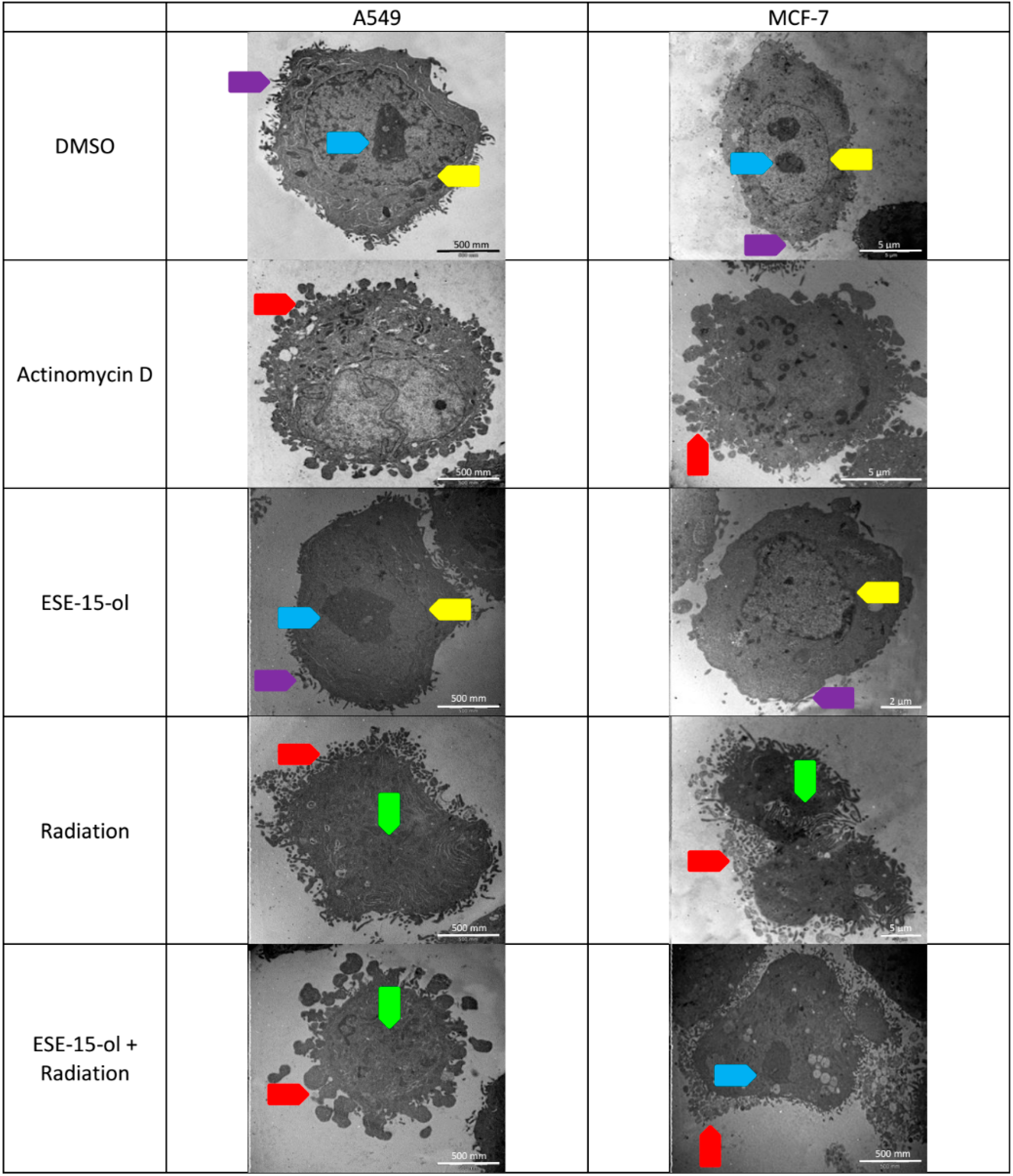Ijms 19 02887 g004 Ijms 19 02887 g004