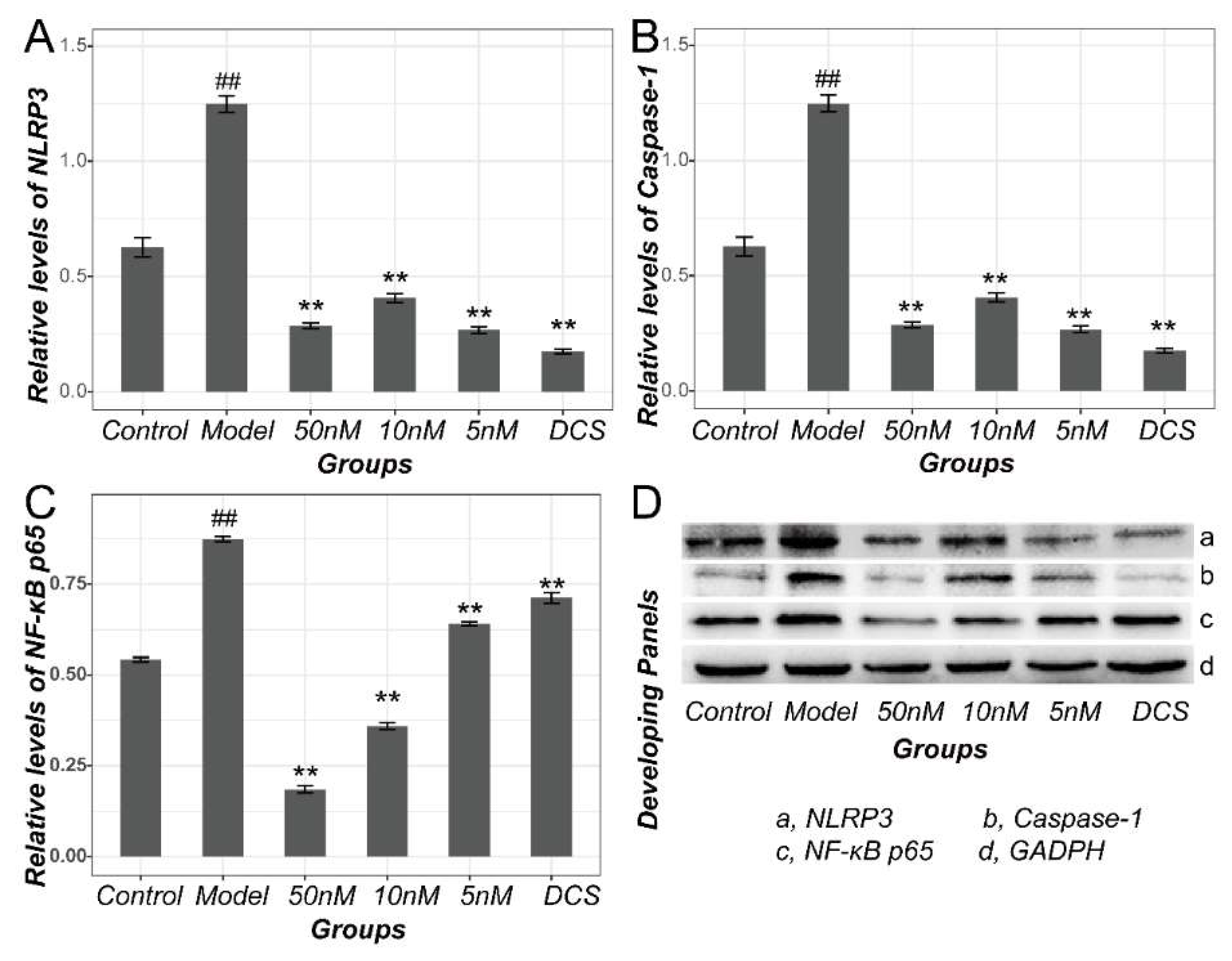 Ijms 19 02894 g007 Ijms 19 02894 g007