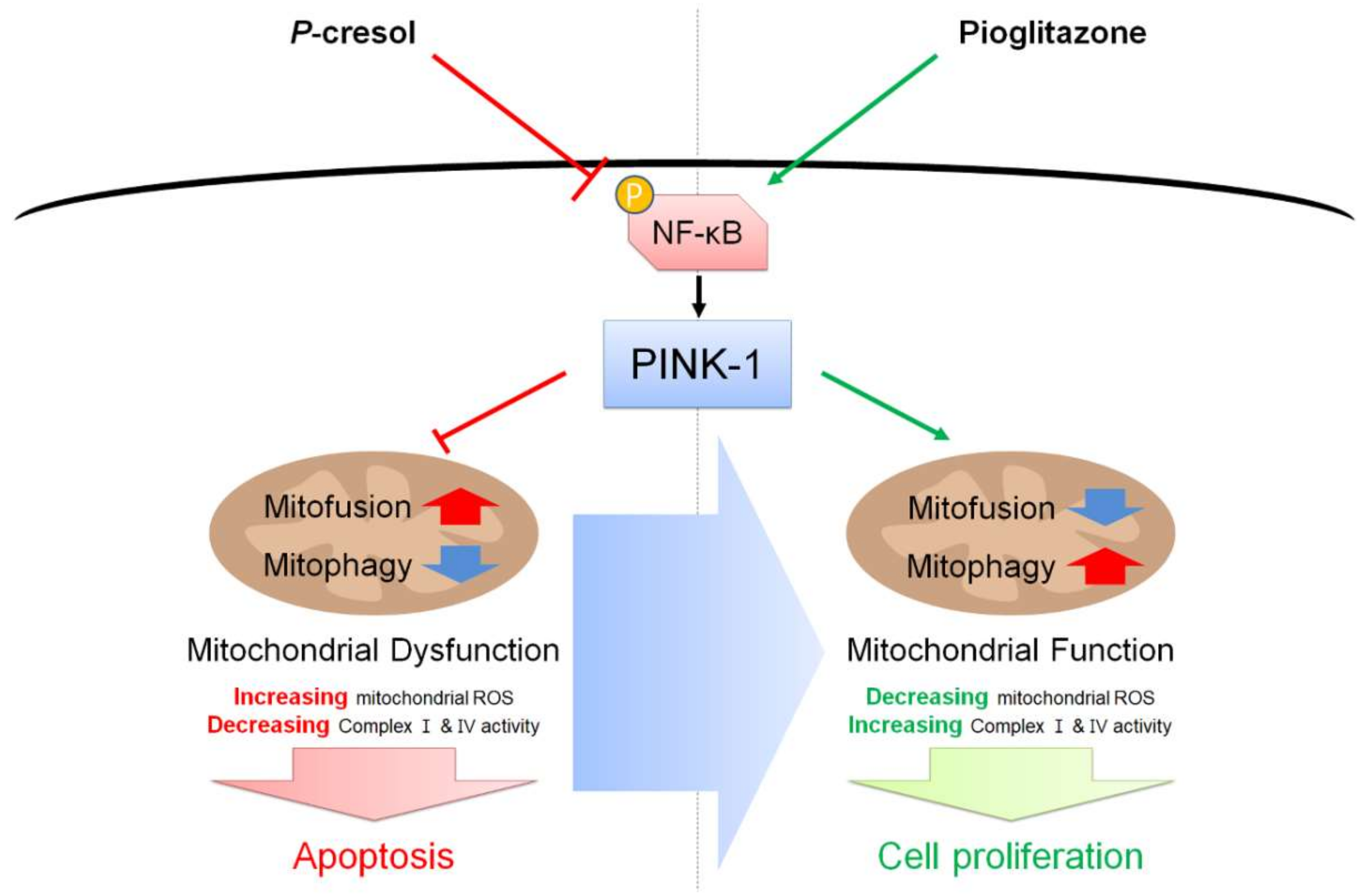 Ijms 19 02898 g007 Ijms 19 02898 g007