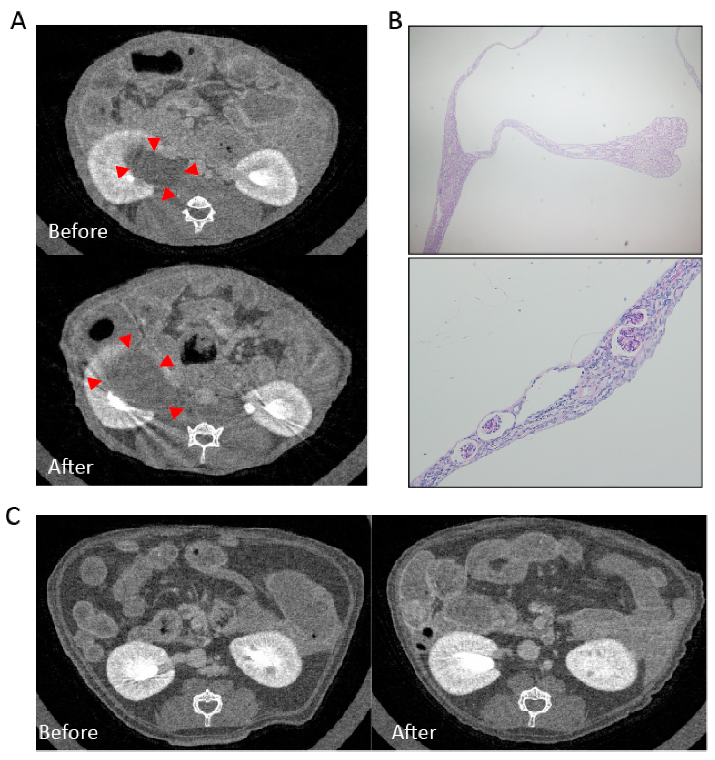 Ijms 19 02902 g002 Ijms 19 02902 g002