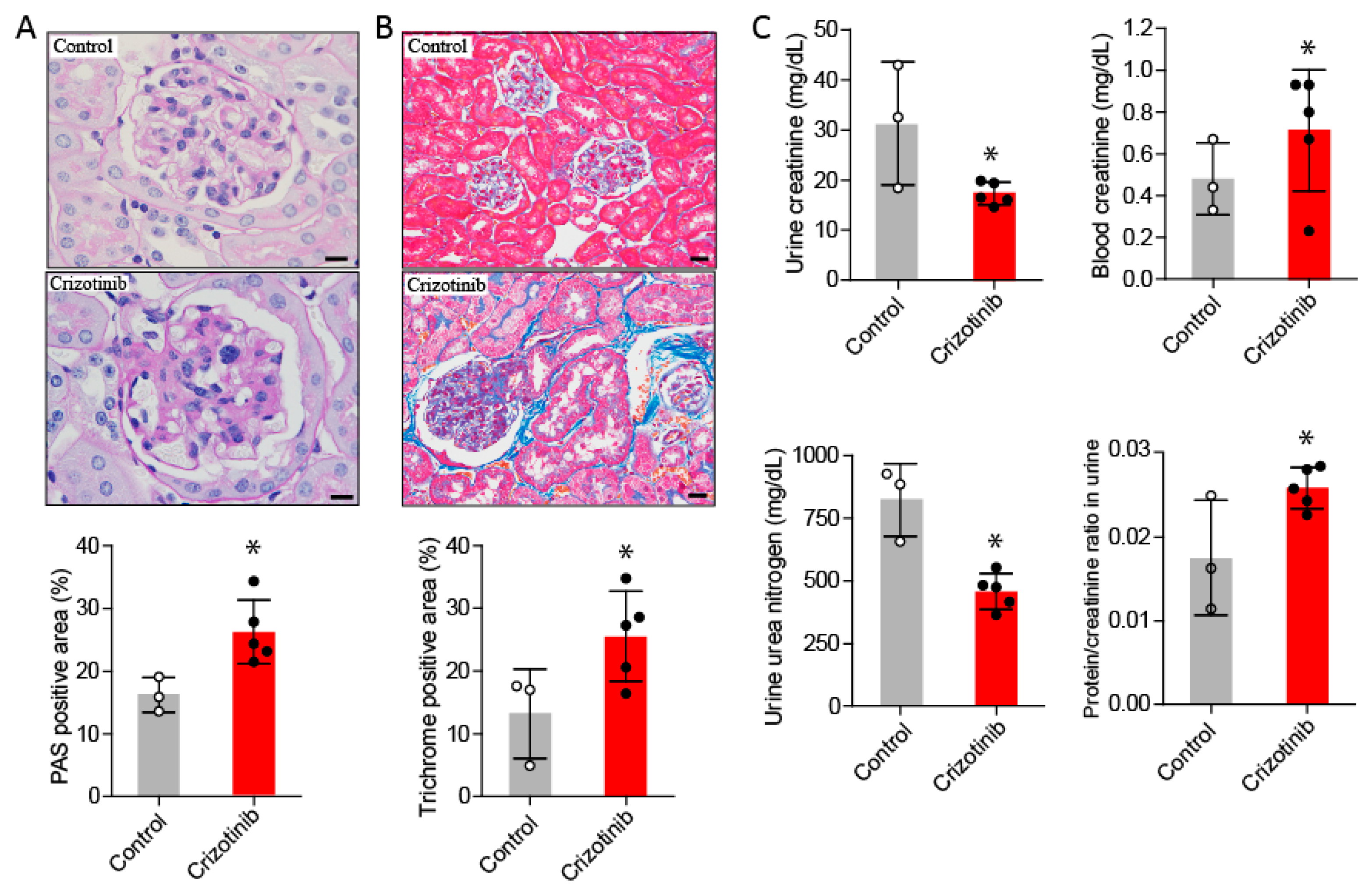 Ijms 19 02902 g003 Ijms 19 02902 g003