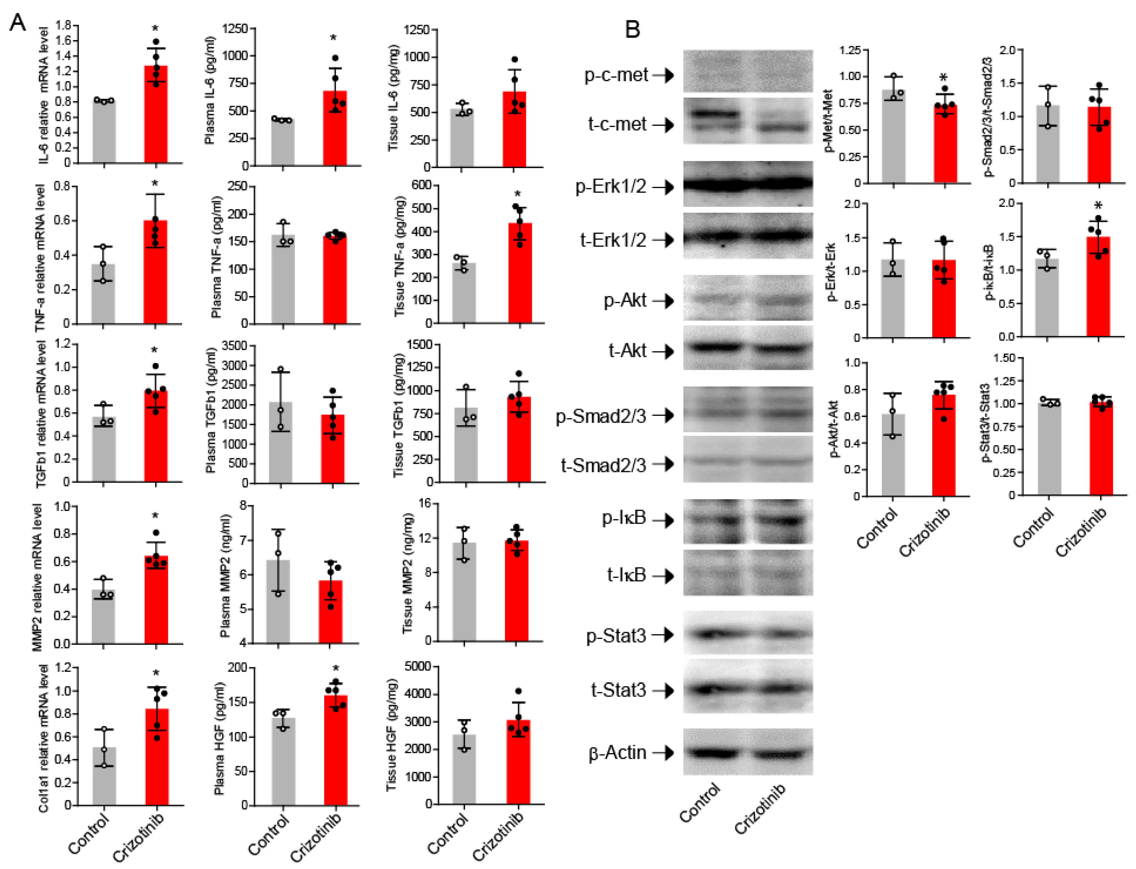 Ijms 19 02902 g004 Ijms 19 02902 g004