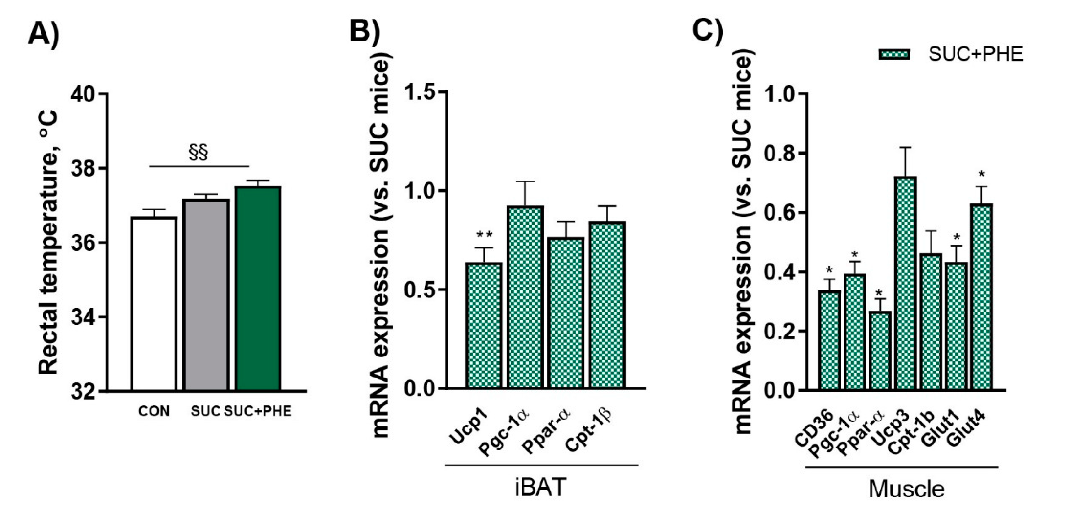Ijms 19 02904 g005 550