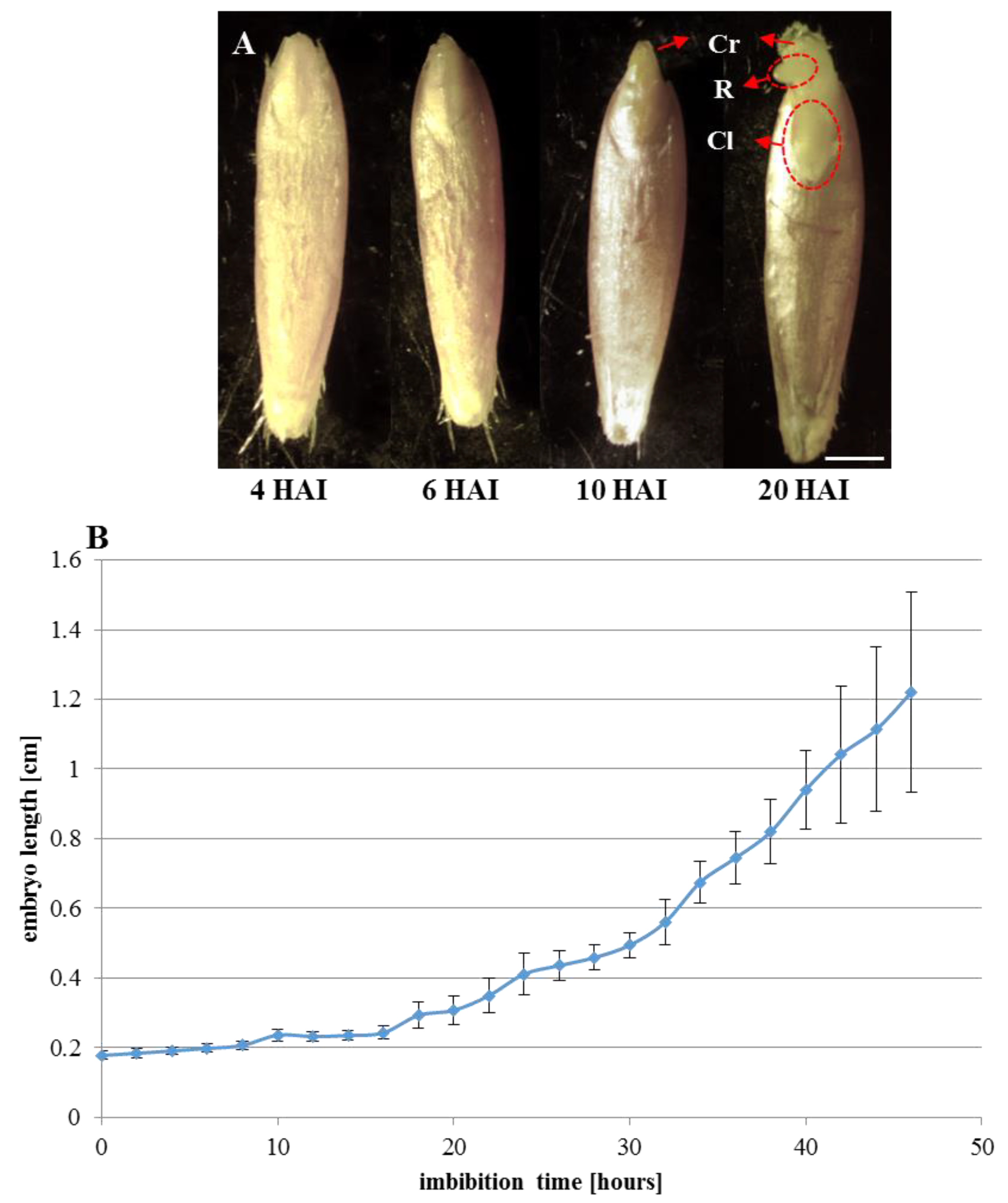 Ijms 19 02916 g001 Ijms 19 02916 g001