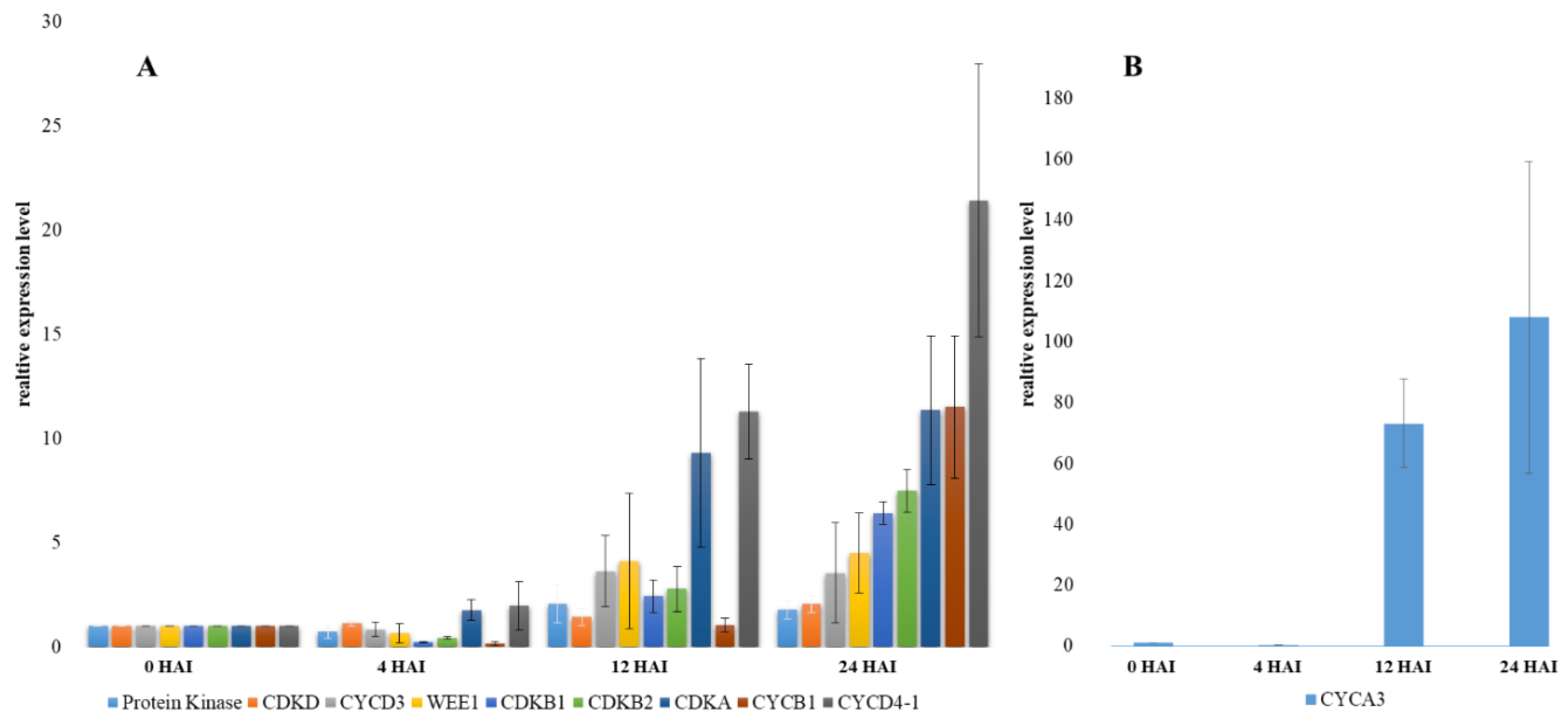Ijms 19 02916 g005 Ijms 19 02916 g005