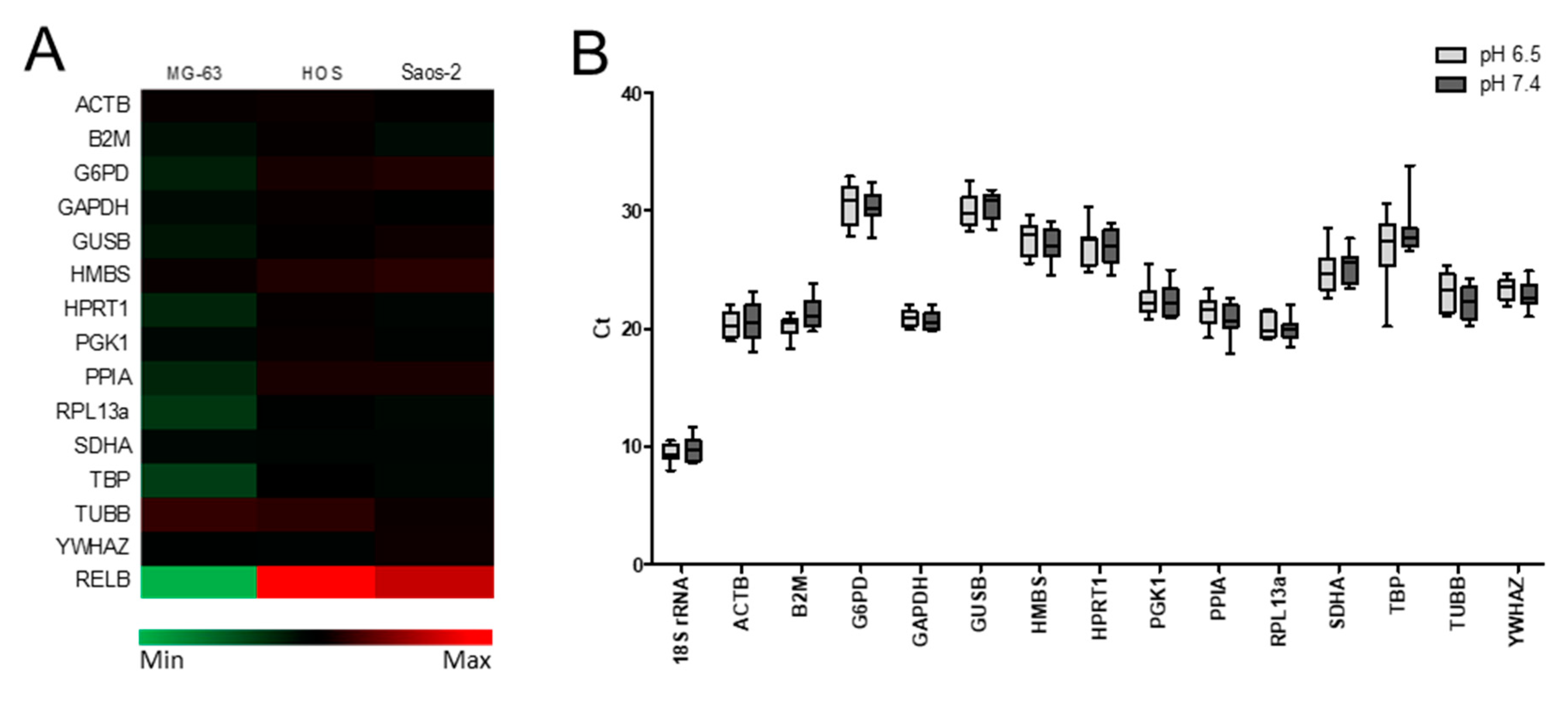 IJMS Free FullText Validation of Suitable Housekeeping Genes for