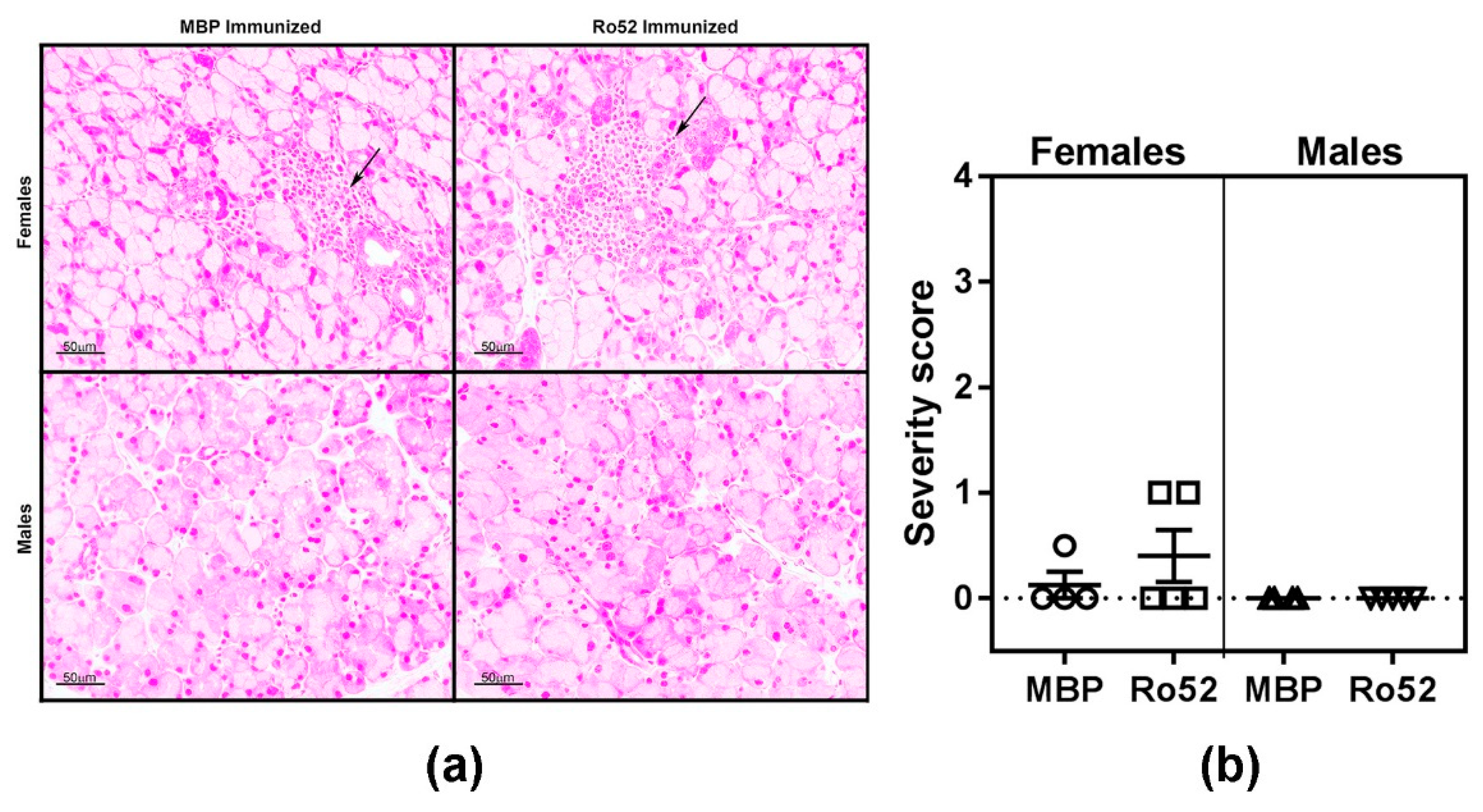 Ijms 19 02935 g003 Ijms 19 02935 g003
