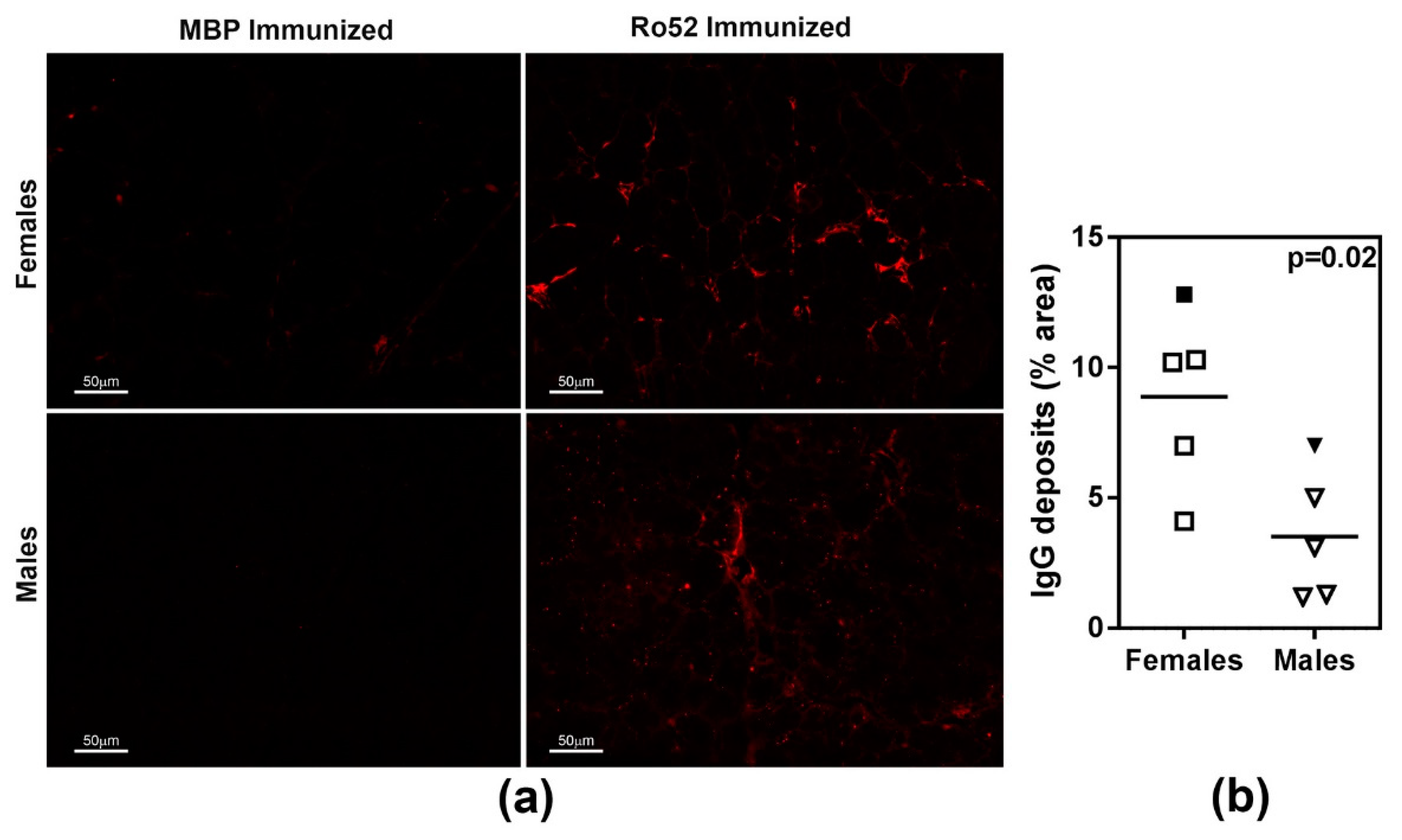 Ijms 19 02935 g004 Ijms 19 02935 g004