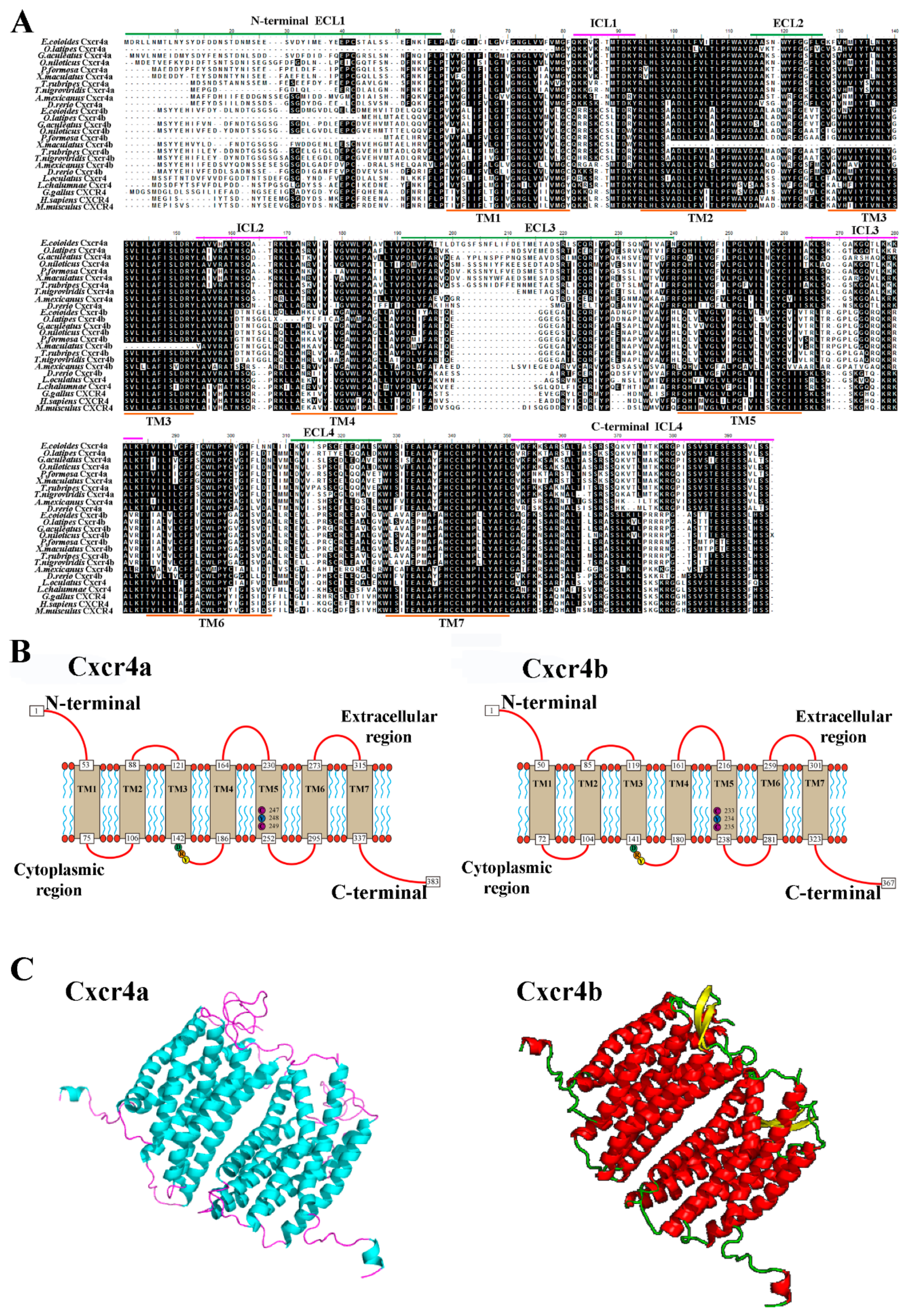 Ijms 19 02943 g001 Ijms 19 02943 g001