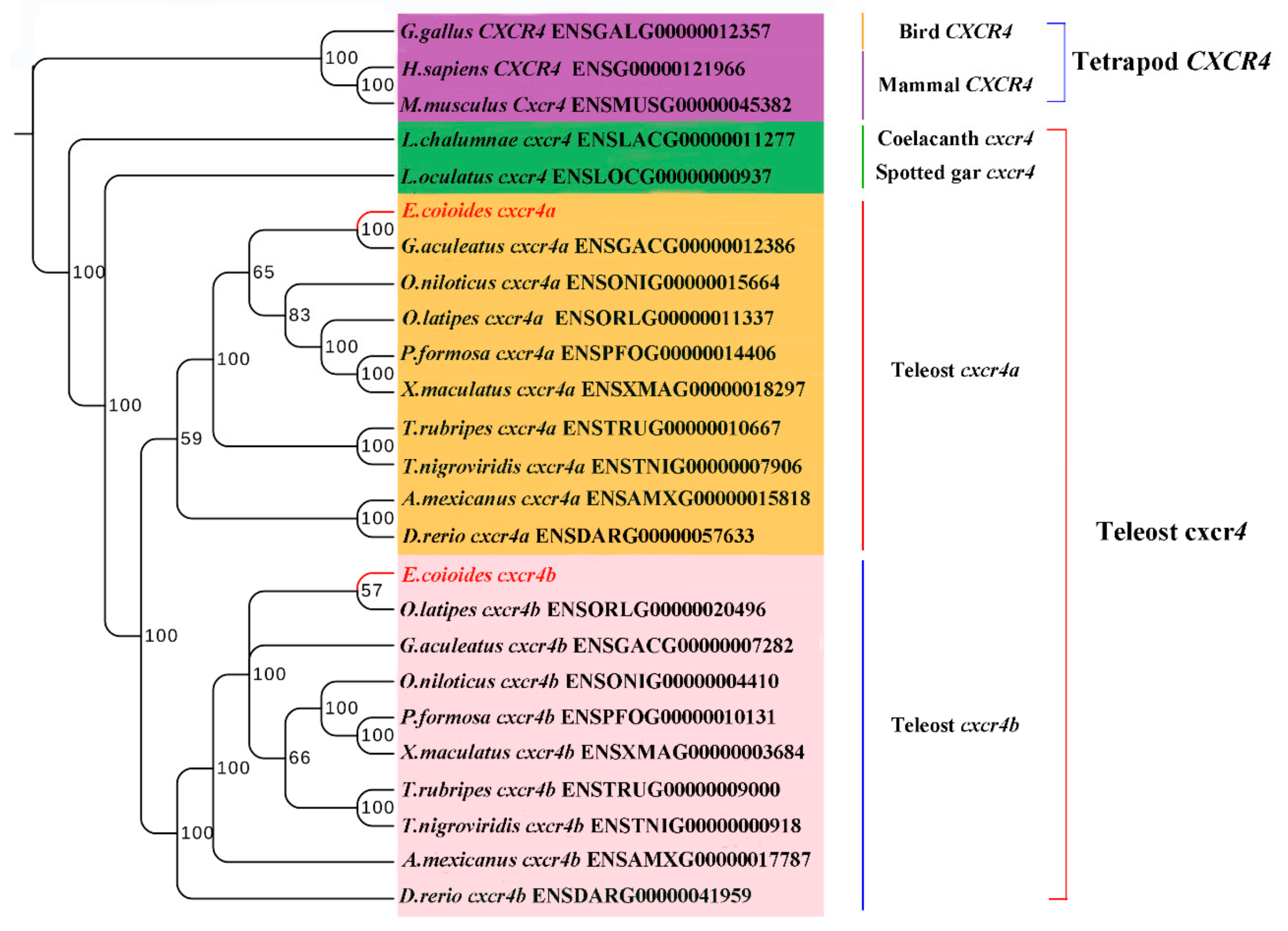Ijms 19 02943 g002 Ijms 19 02943 g002