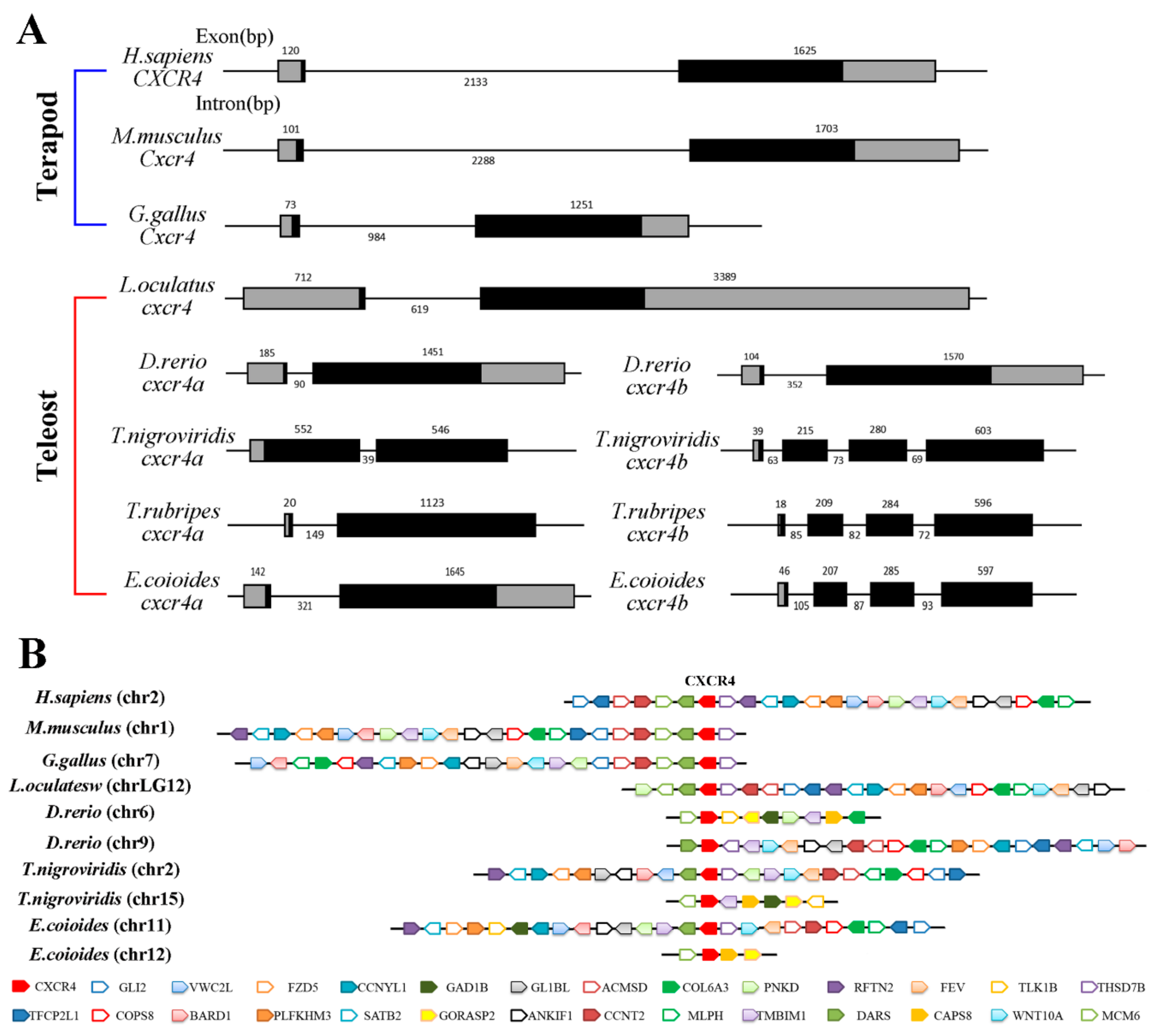 Ijms 19 02943 g003 Ijms 19 02943 g003
