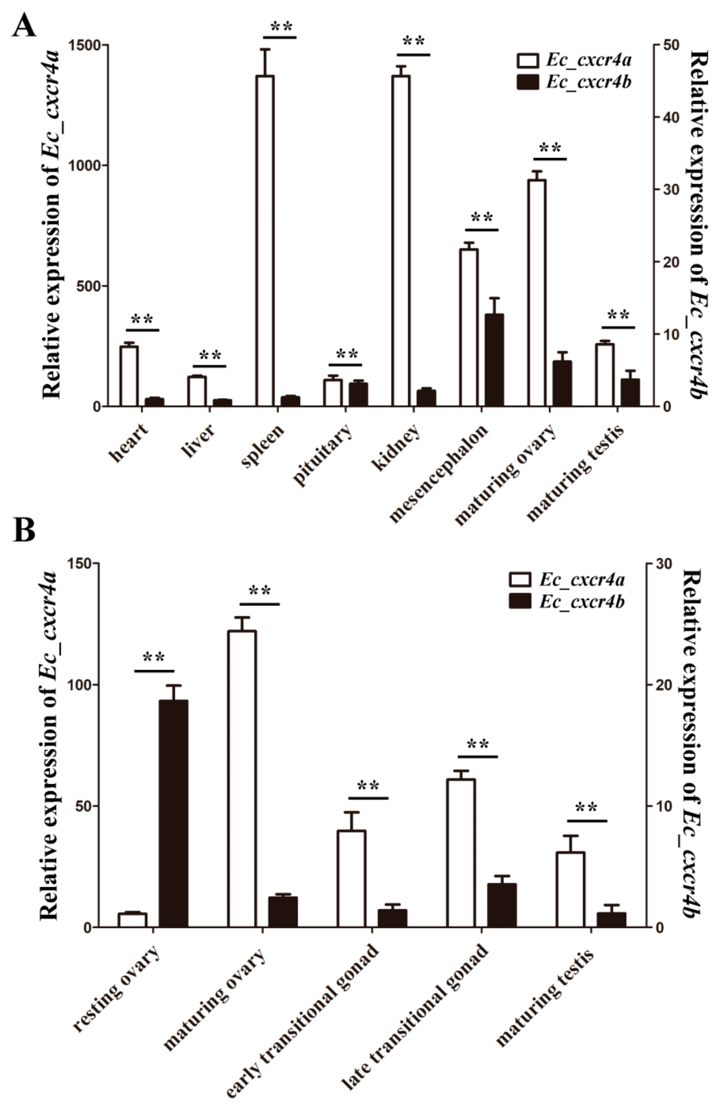 Ijms 19 02943 g004 Ijms 19 02943 g004